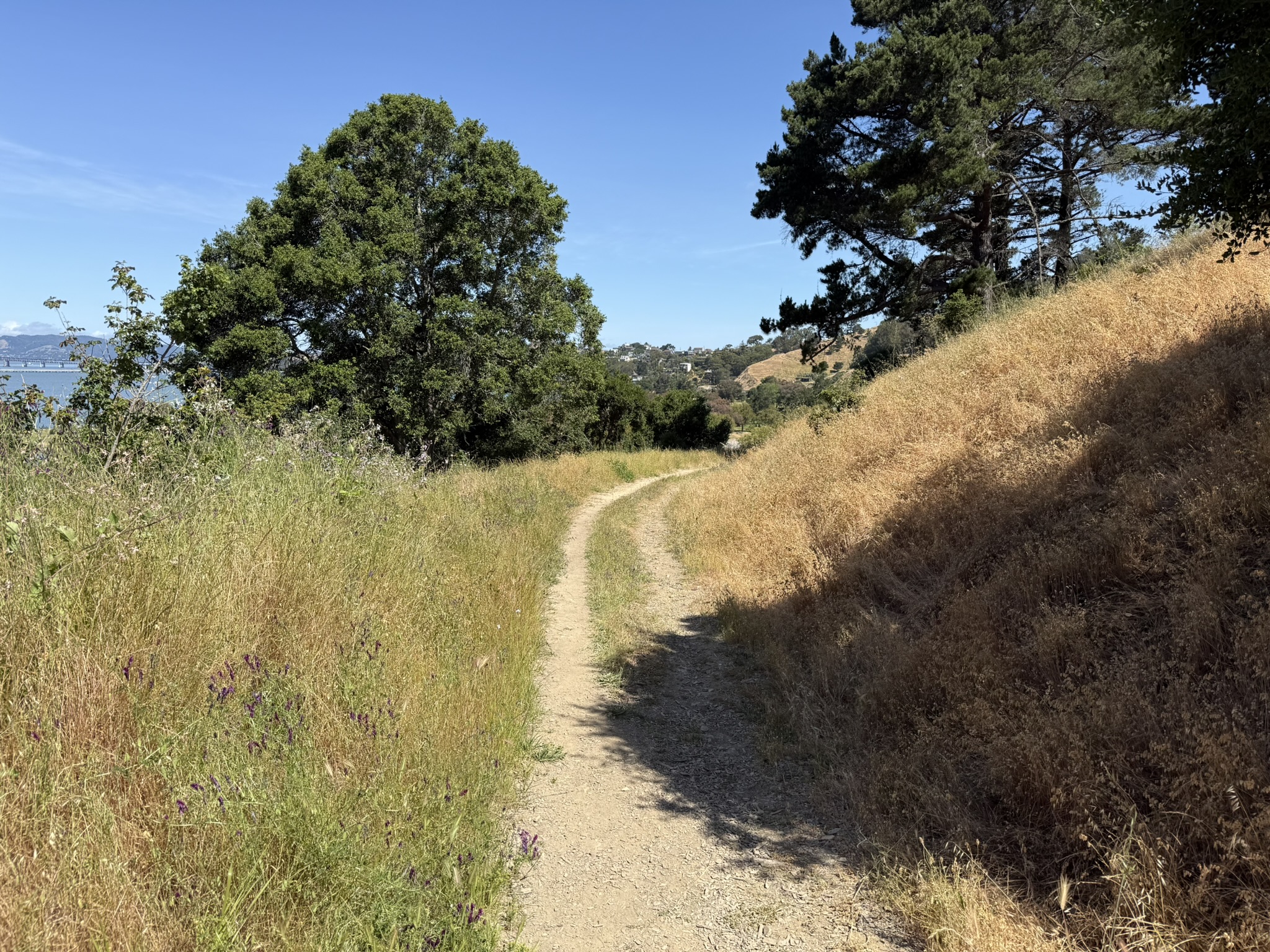 Miller/Knox Regional Shoreline