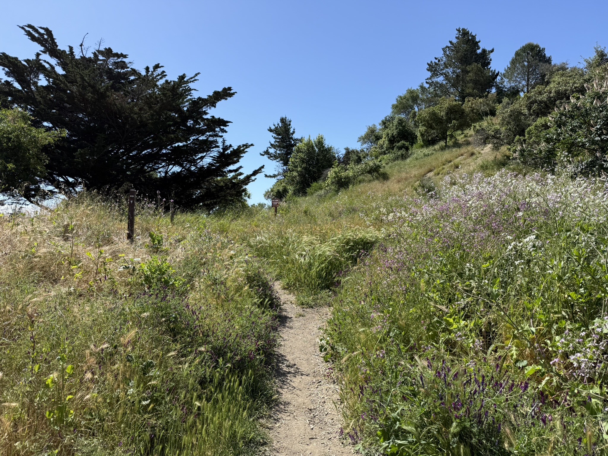 Miller/Knox Regional Shoreline