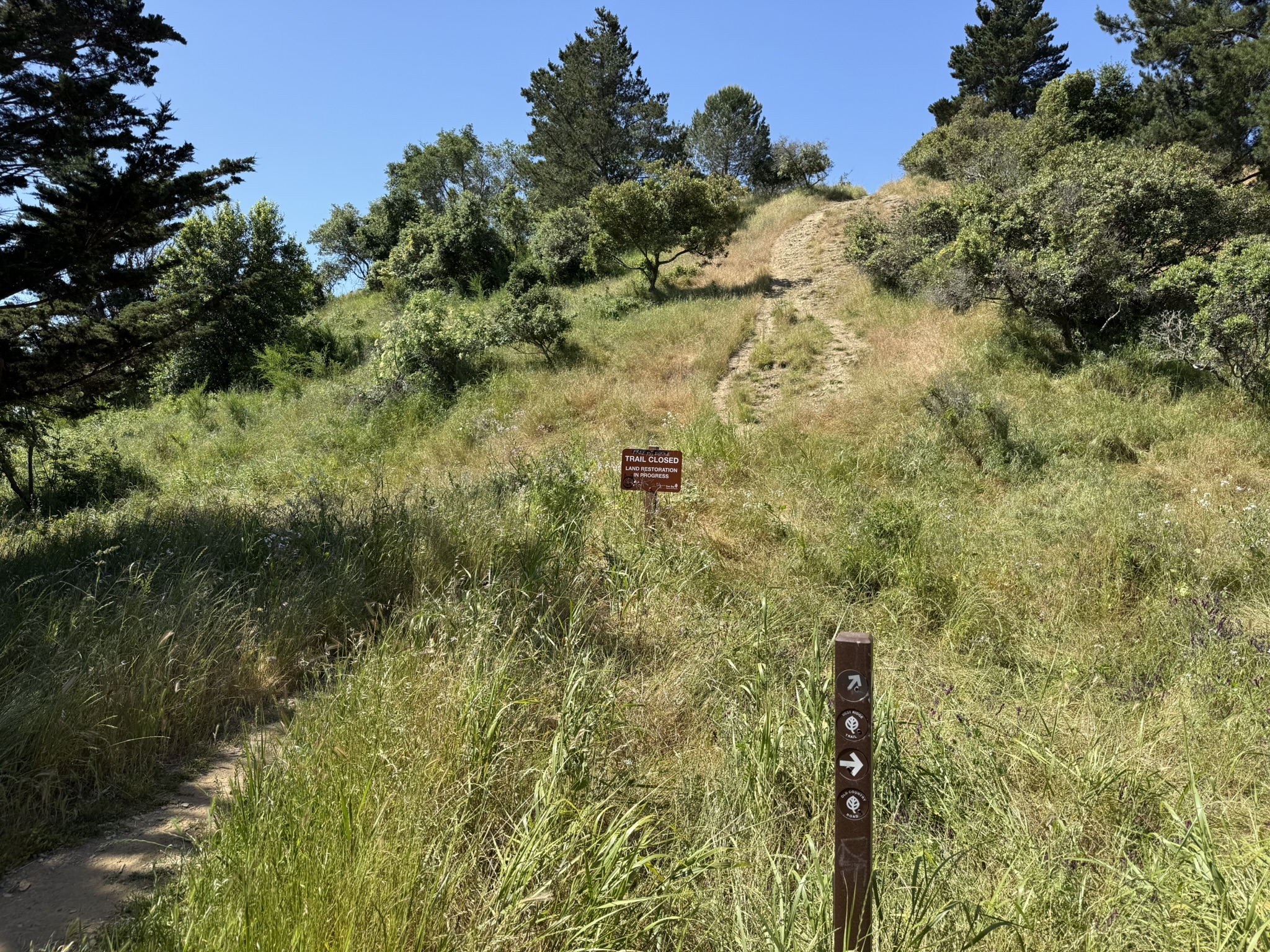 Miller/Knox Regional Shoreline