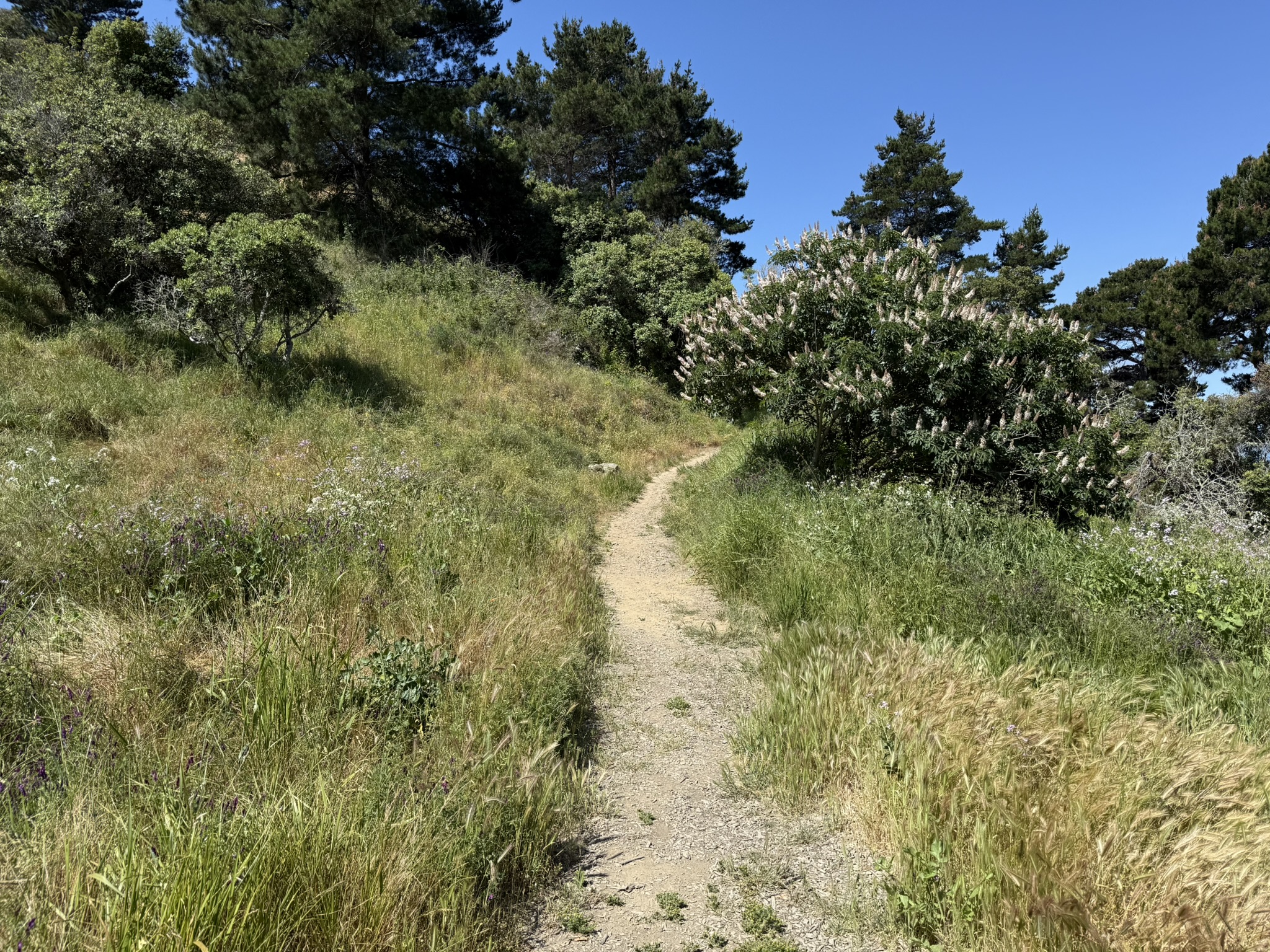 Miller/Knox Regional Shoreline
