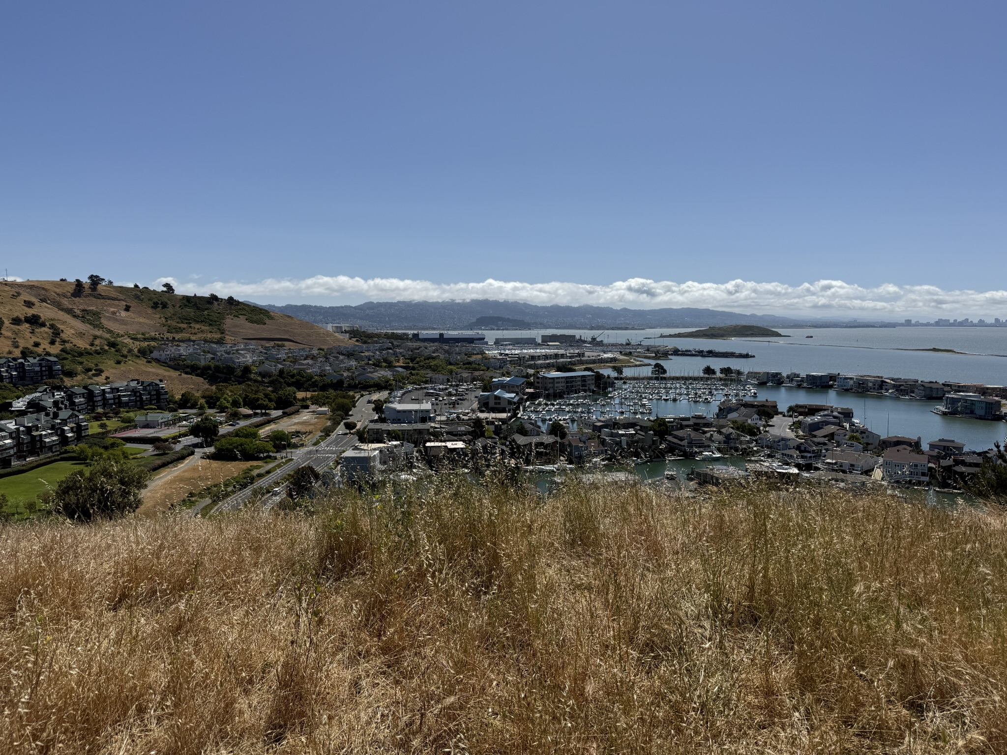 Miller/Knox Regional Shoreline