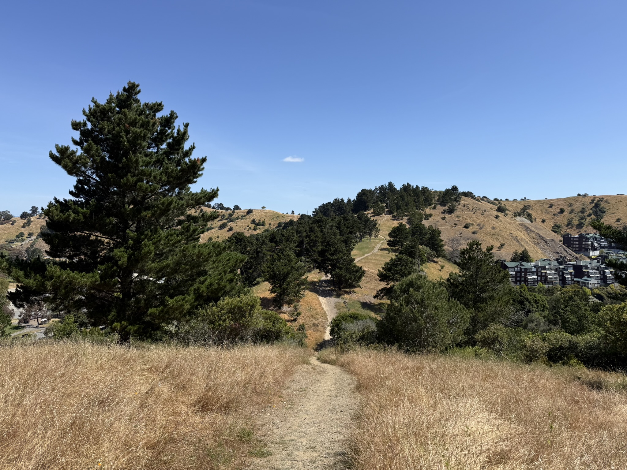 Miller/Knox Regional Shoreline