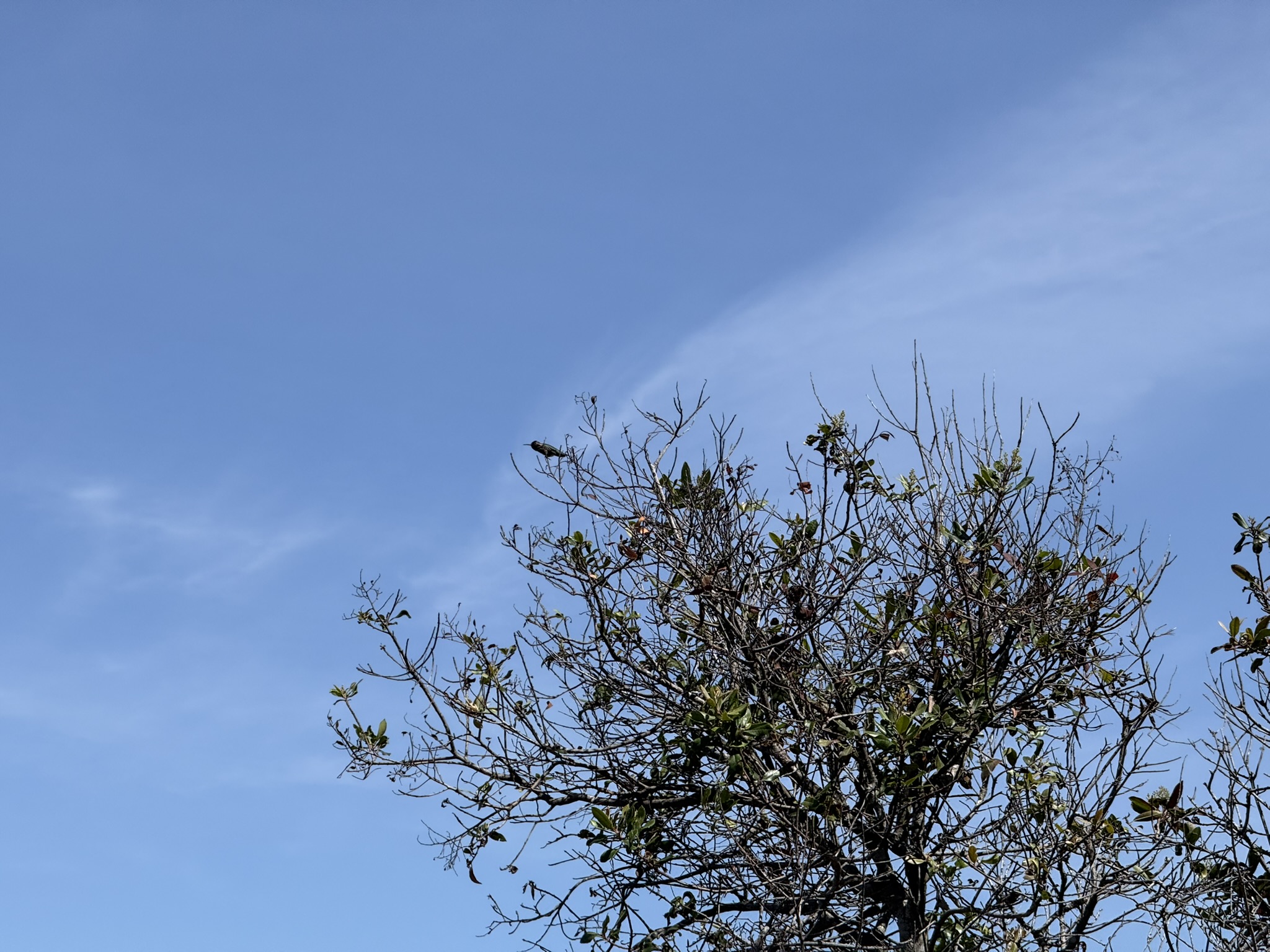 Miller/Knox Regional Shoreline