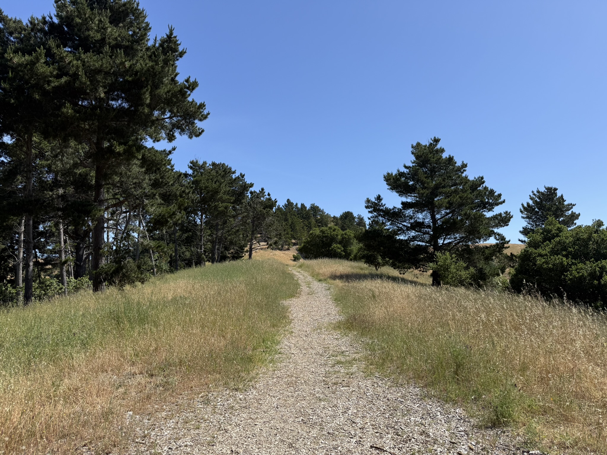 Miller/Knox Regional Shoreline