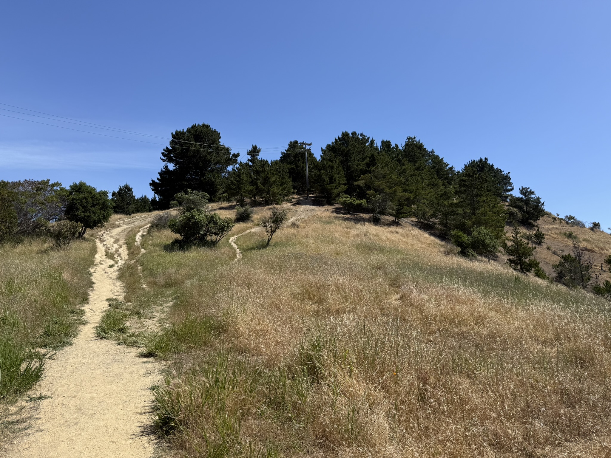 Miller/Knox Regional Shoreline