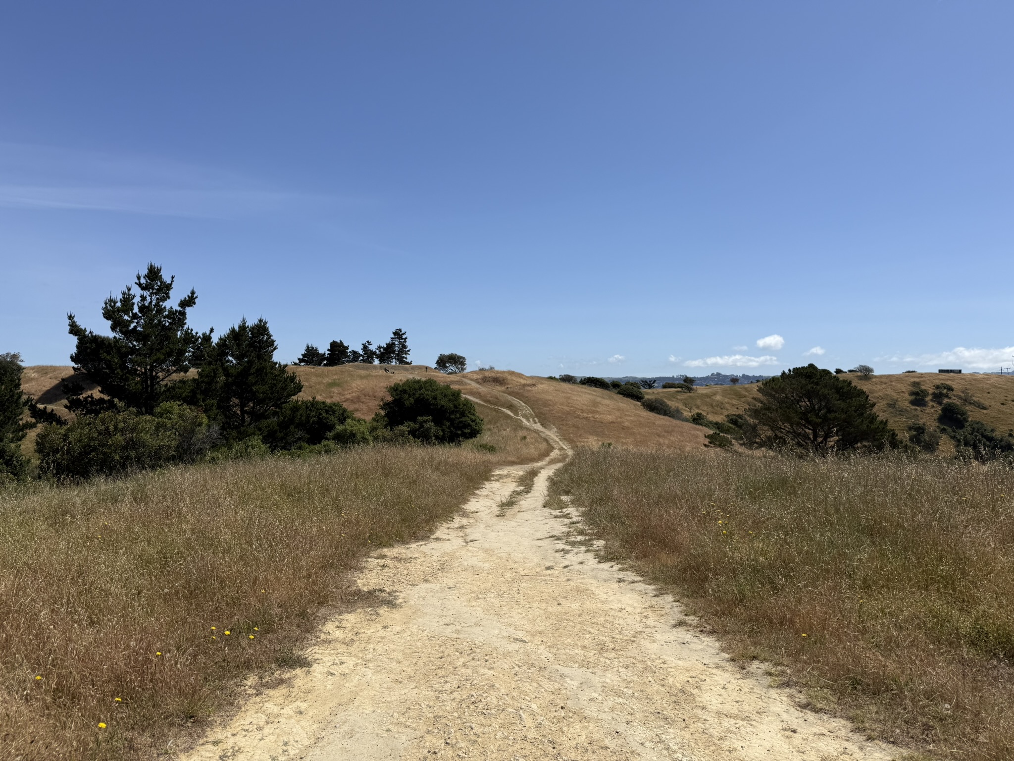 Miller/Knox Regional Shoreline