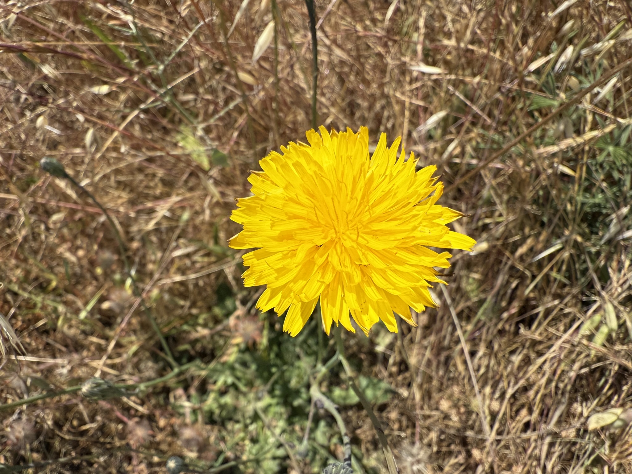 Miller/Knox Regional Shoreline