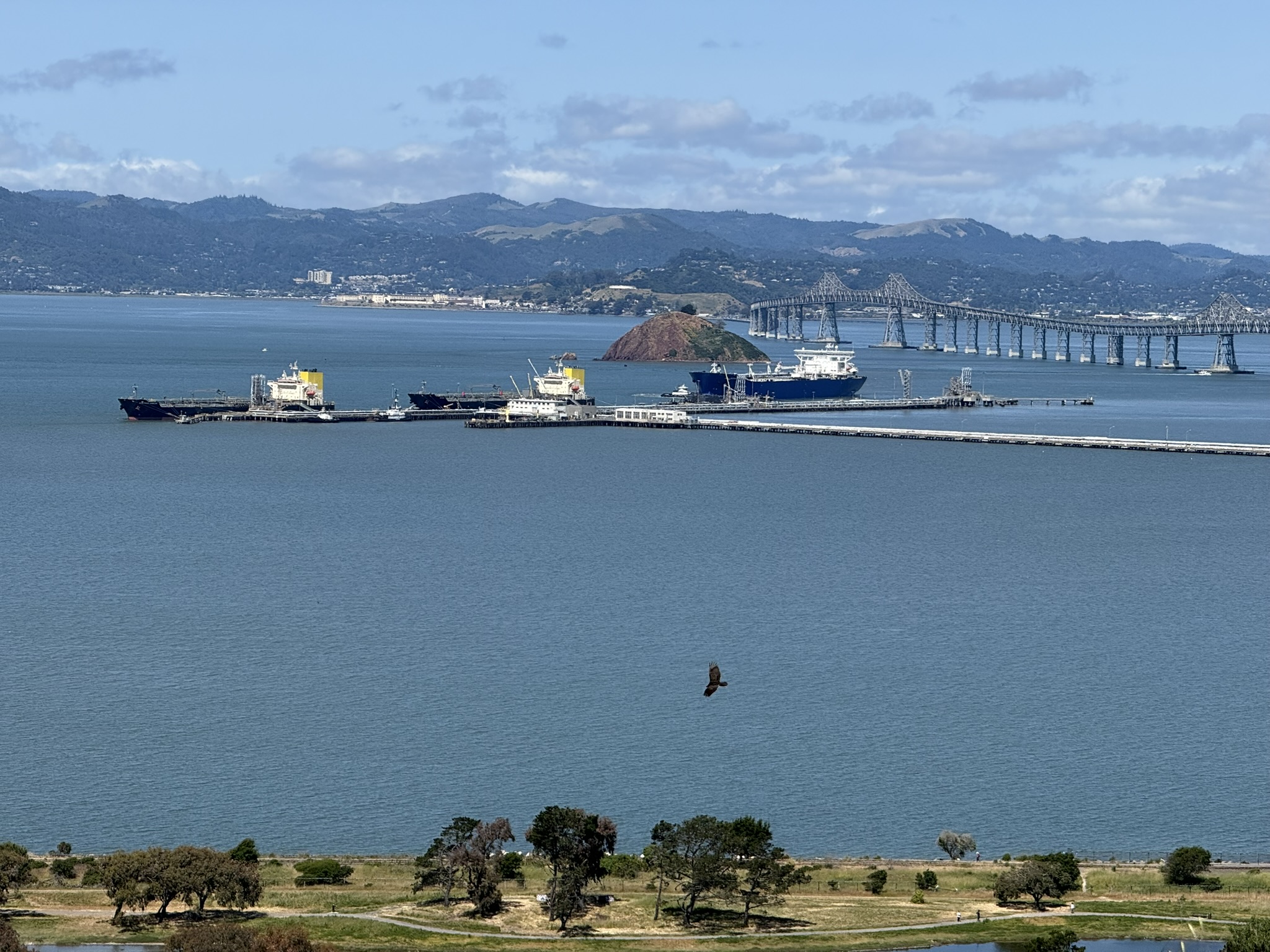 Miller/Knox Regional Shoreline