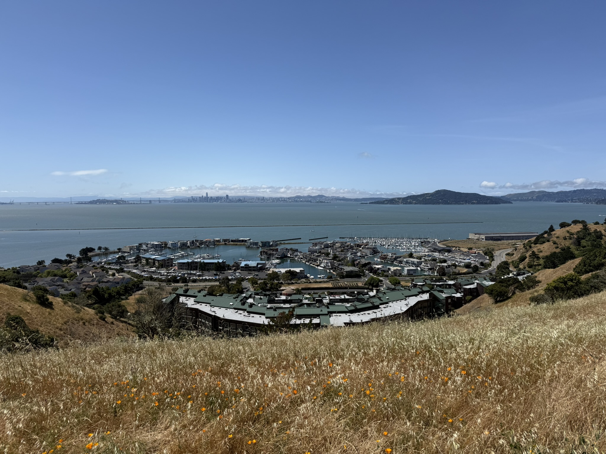 Miller/Knox Regional Shoreline