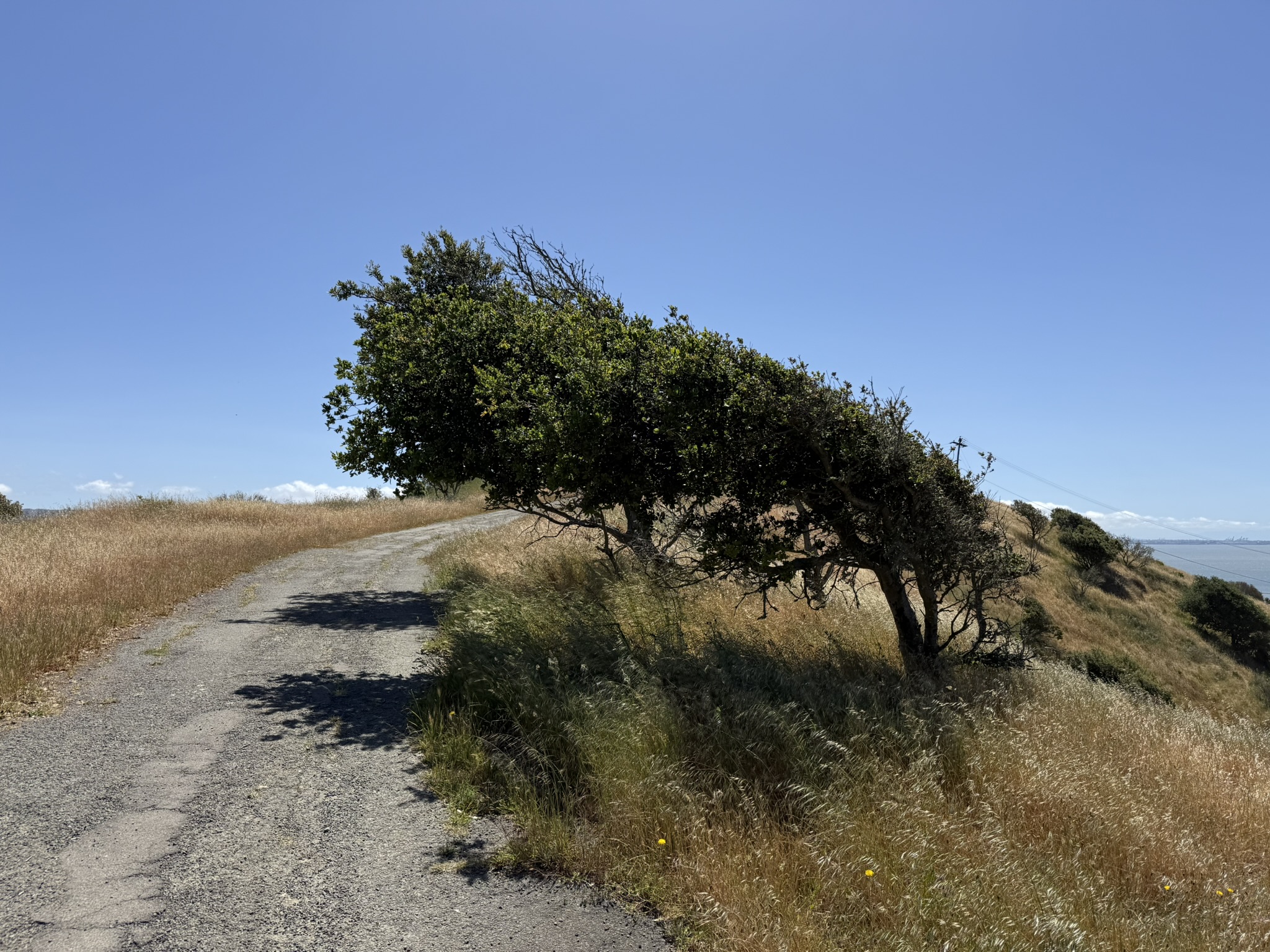 Miller/Knox Regional Shoreline