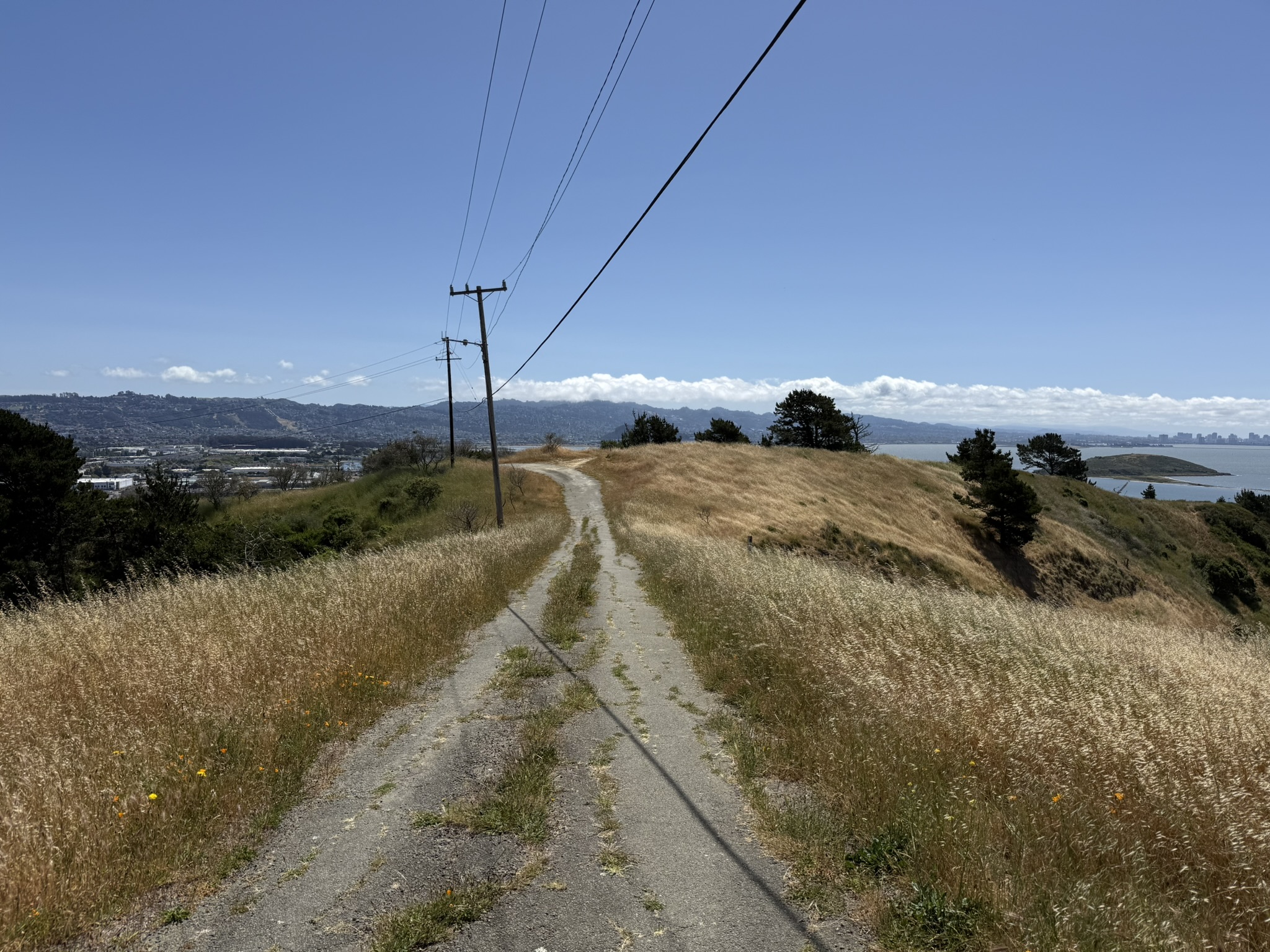 Miller/Knox Regional Shoreline