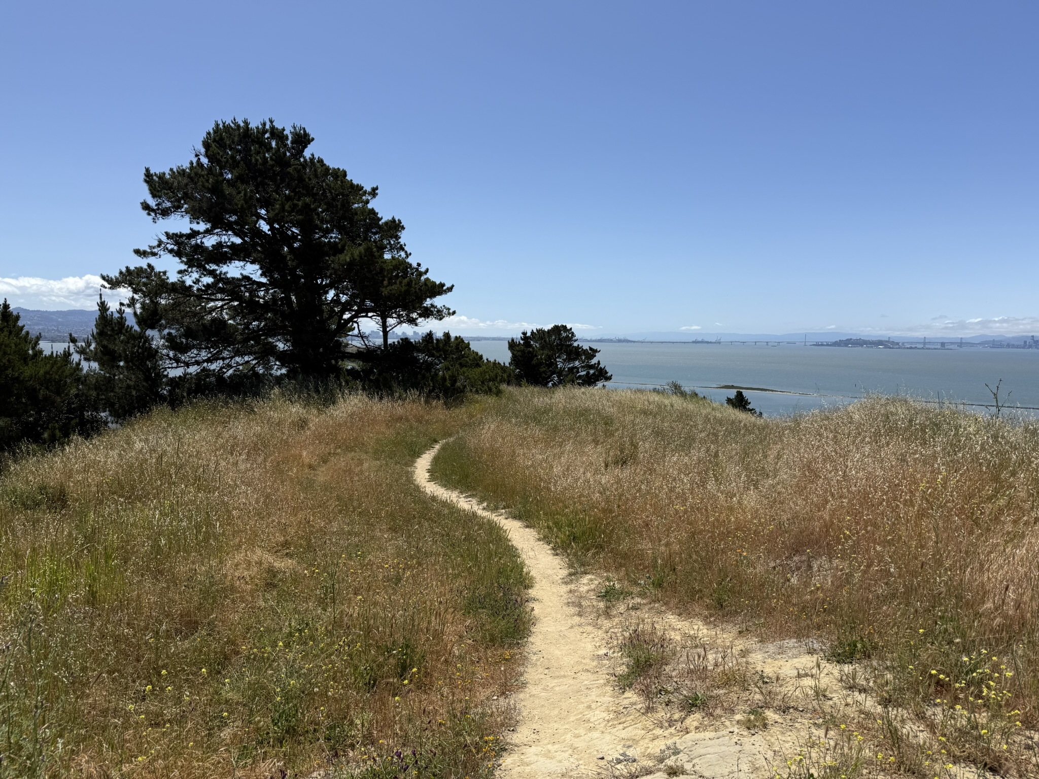 Miller/Knox Regional Shoreline