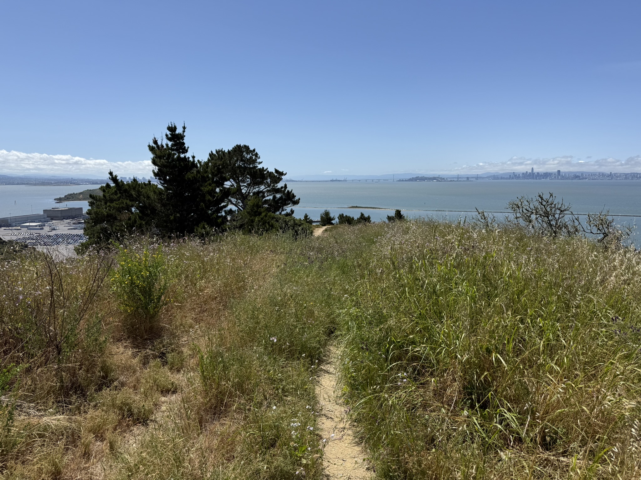 Miller/Knox Regional Shoreline