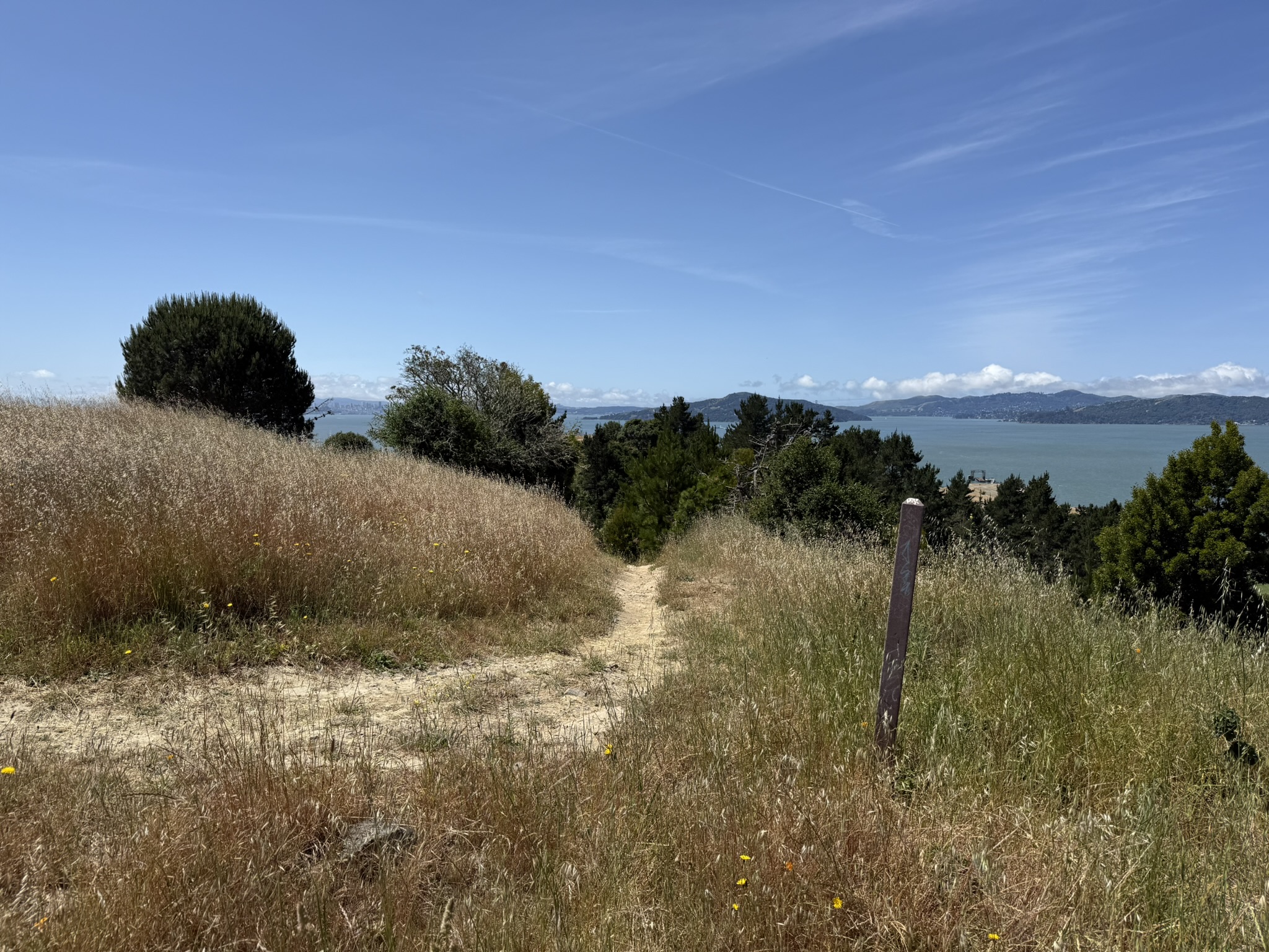 Miller/Knox Regional Shoreline