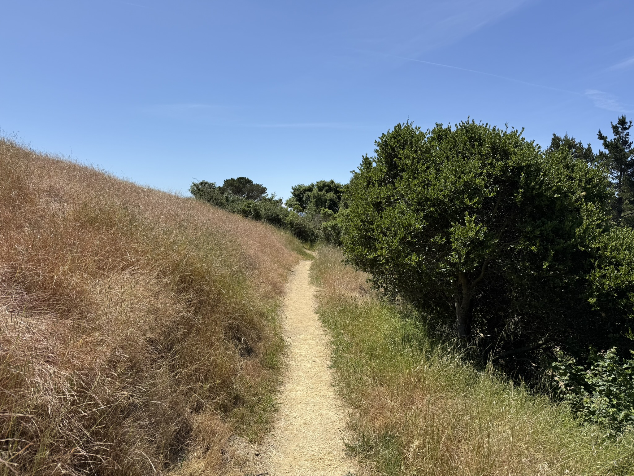 Miller/Knox Regional Shoreline