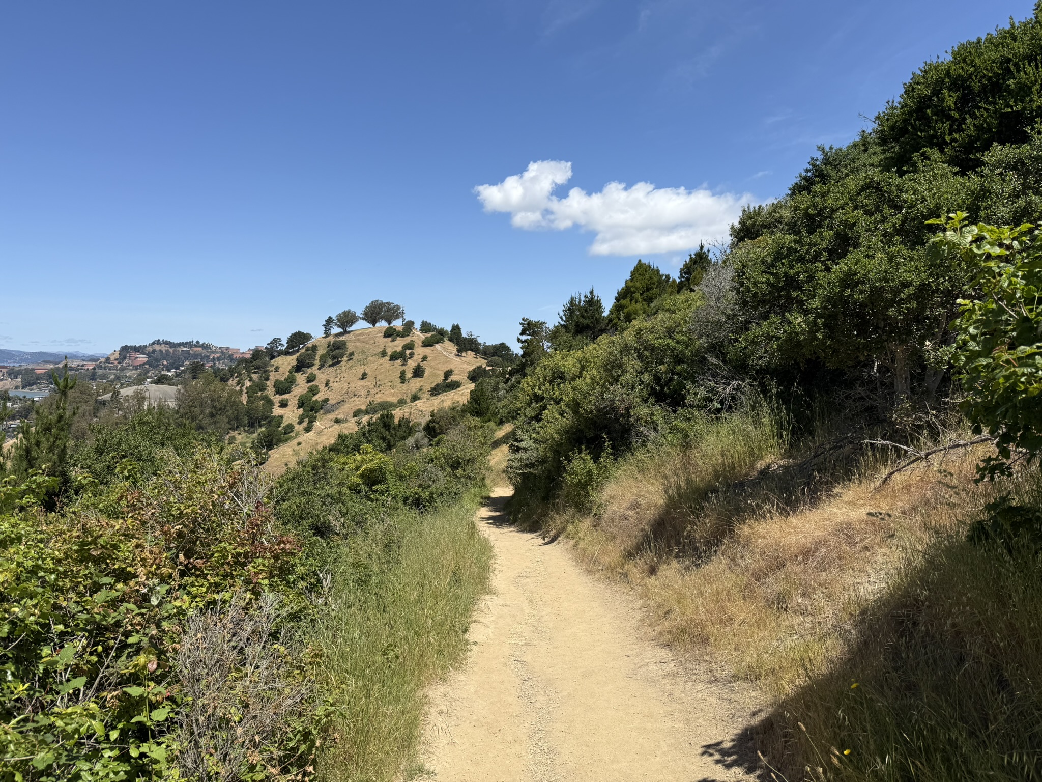 Miller/Knox Regional Shoreline