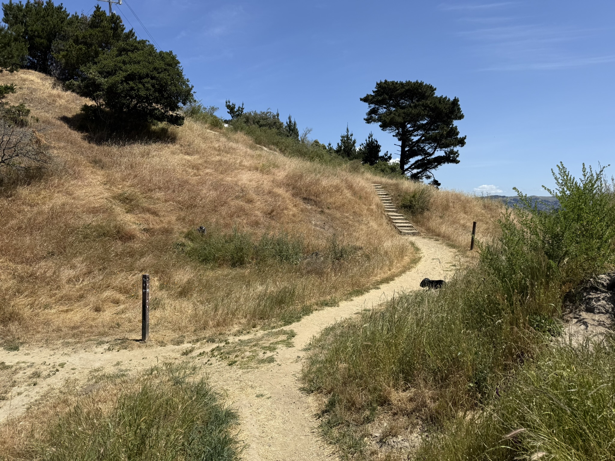 Miller/Knox Regional Shoreline