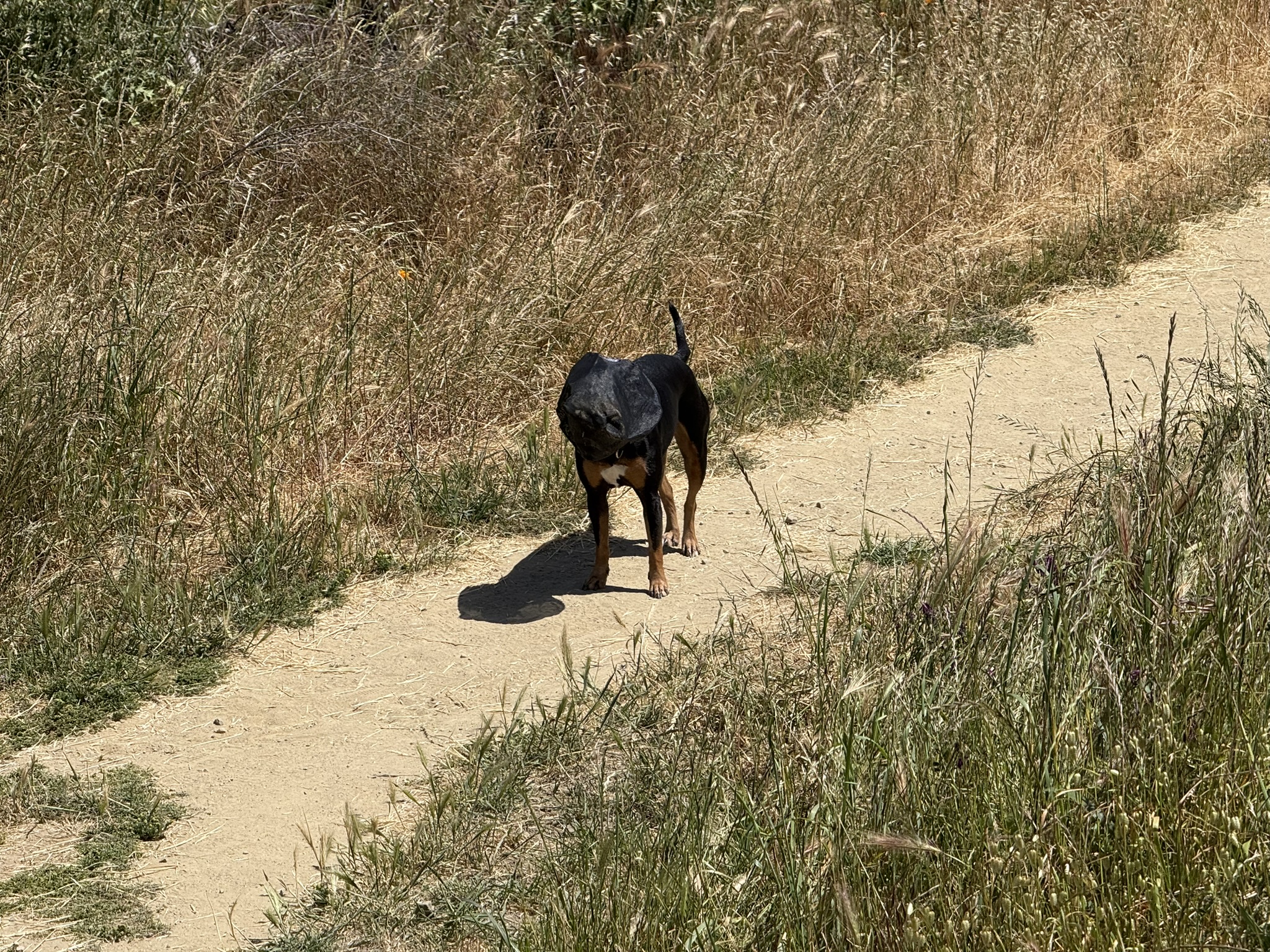 Miller/Knox Regional Shoreline
