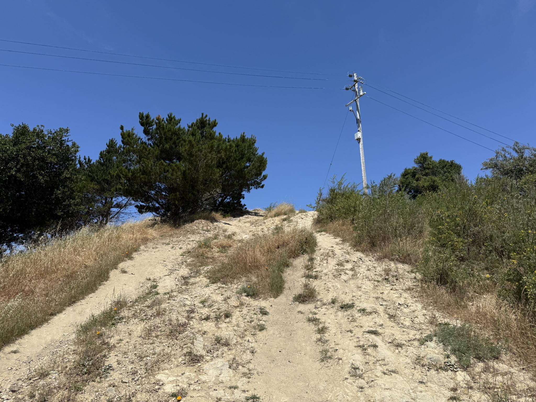 Miller/Knox Regional Shoreline