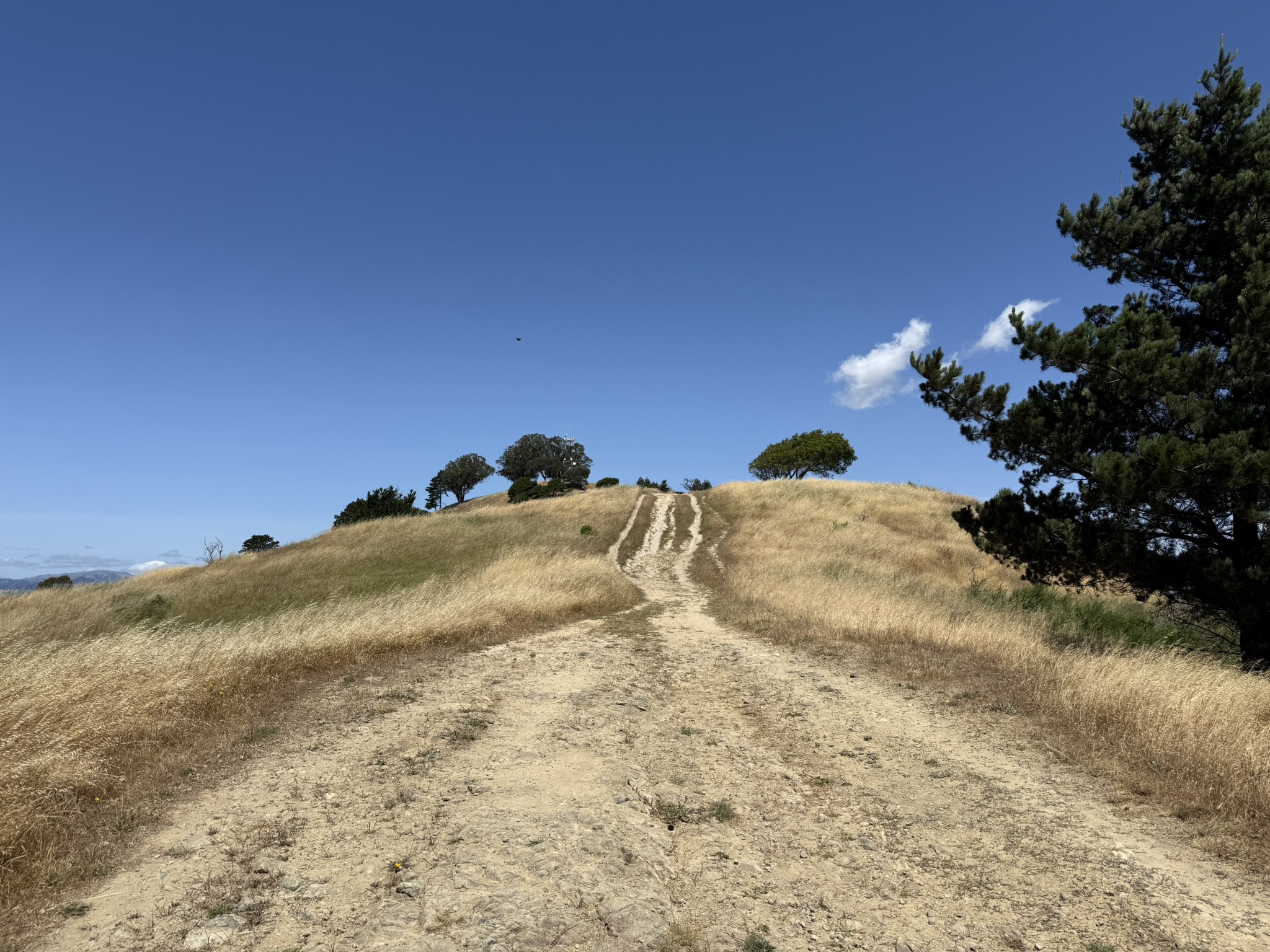 Miller/Knox Regional Shoreline