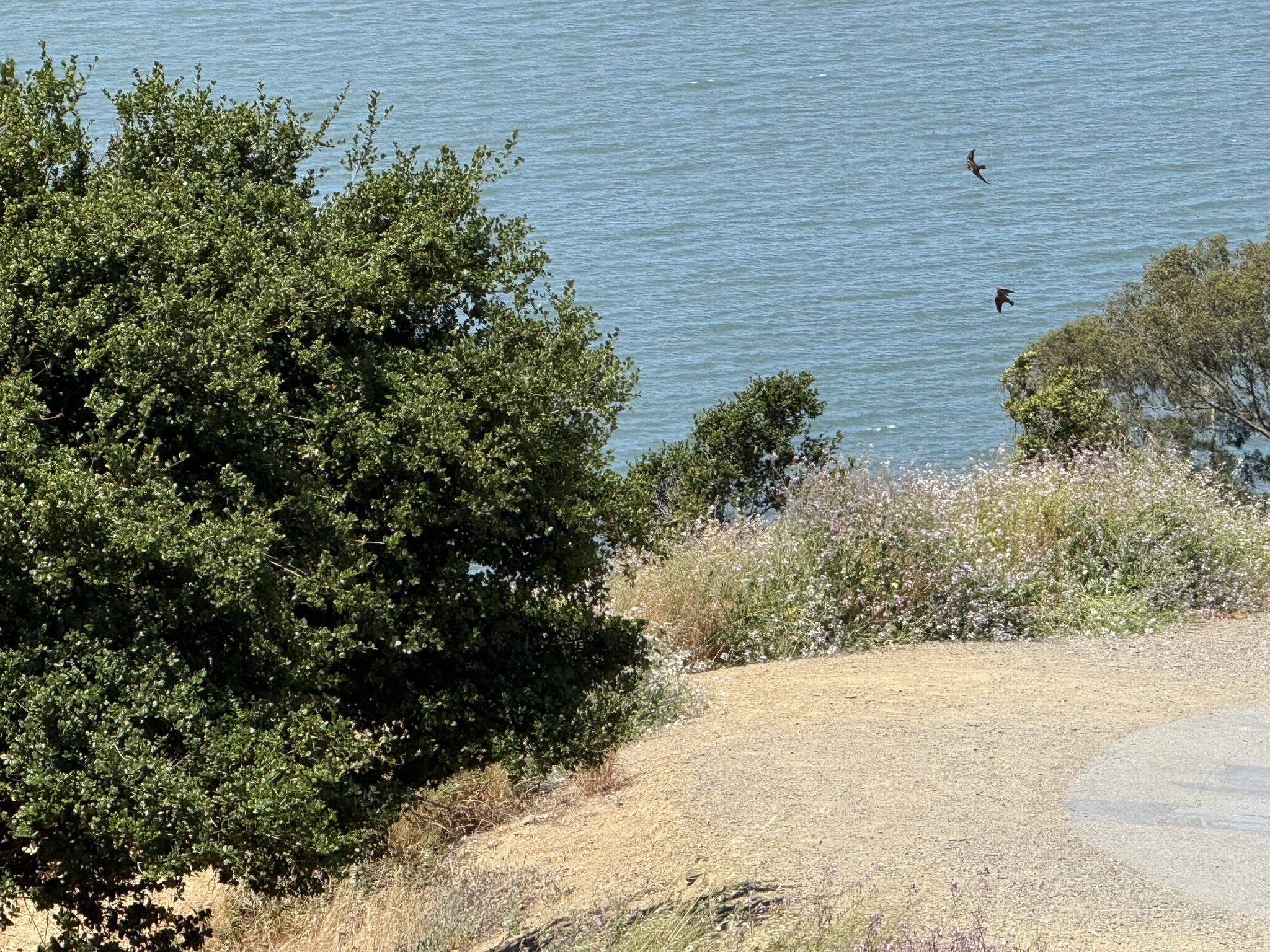 Miller/Knox Regional Shoreline