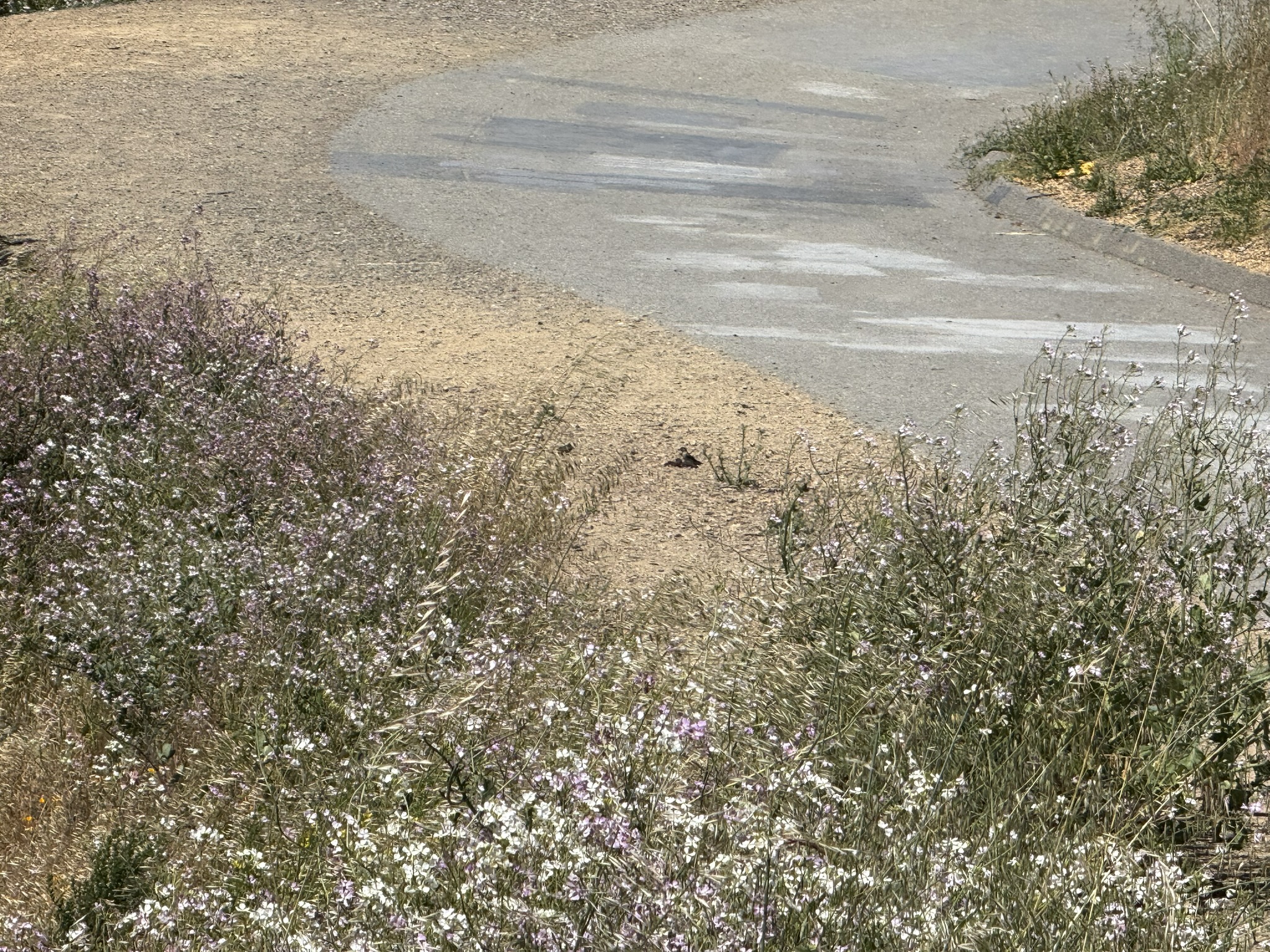 Miller/Knox Regional Shoreline