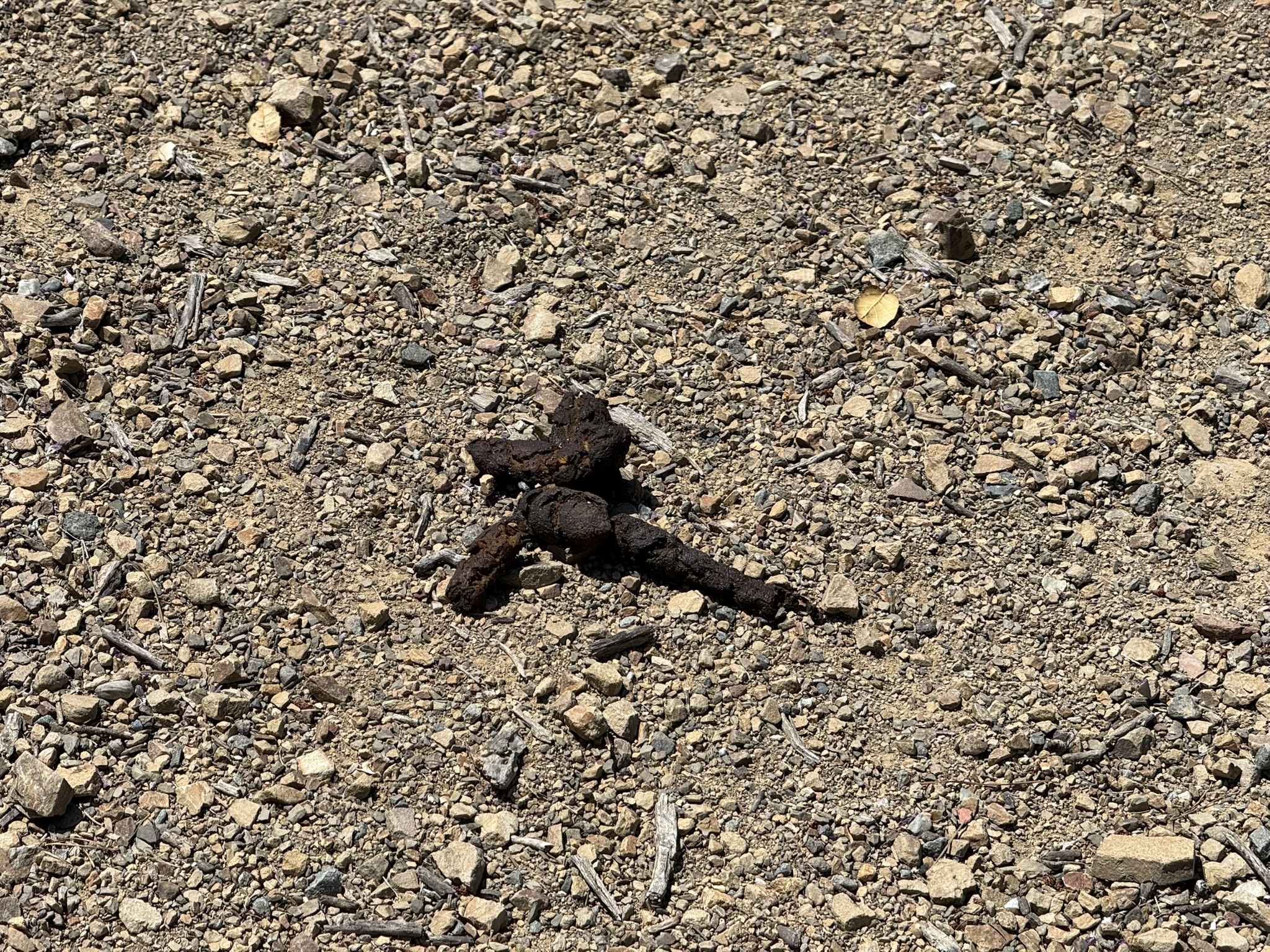 Miller/Knox Regional Shoreline