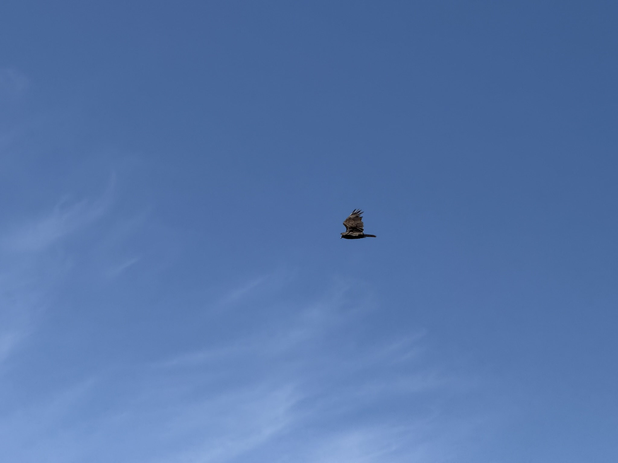 Miller/Knox Regional Shoreline