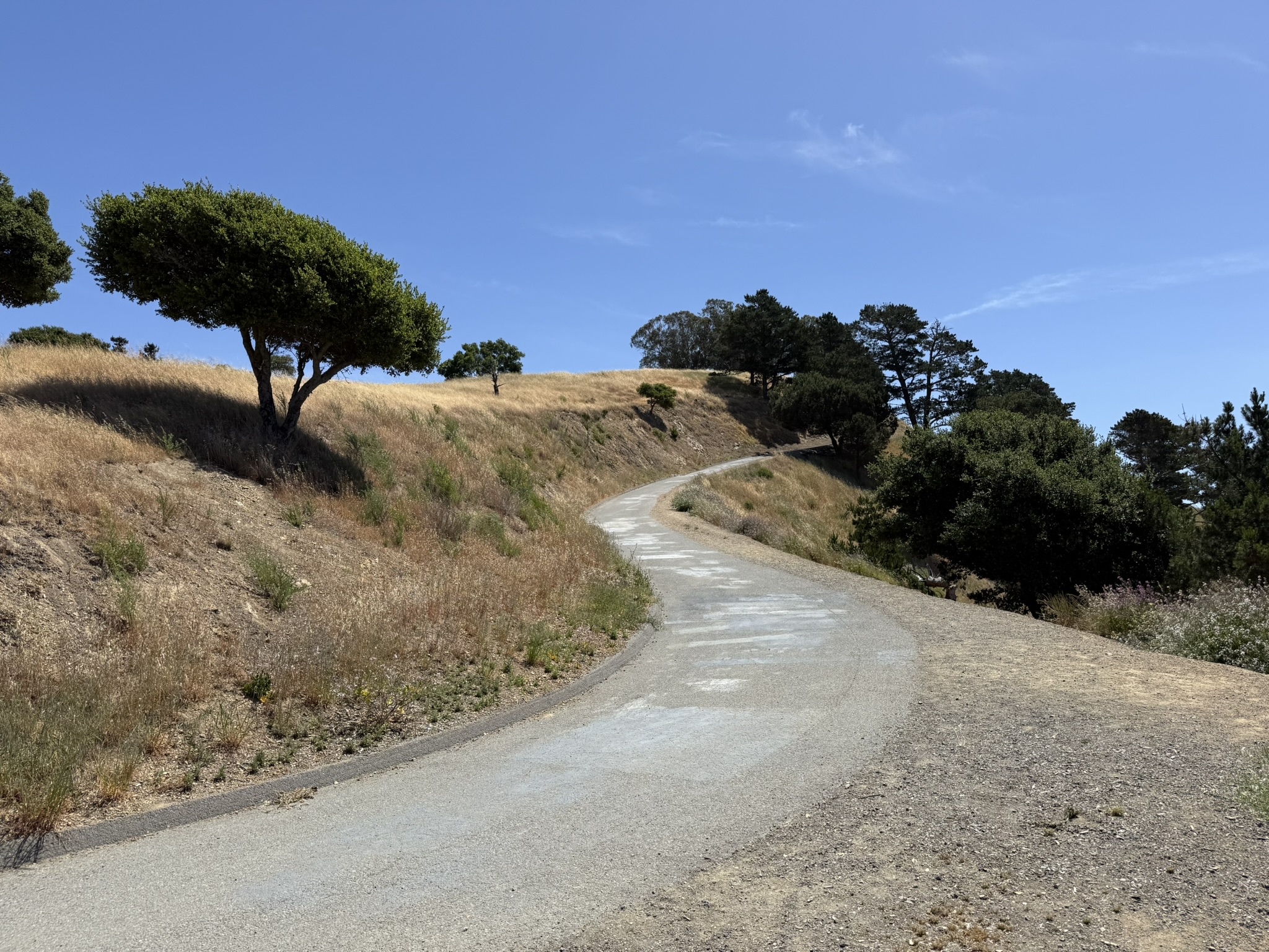 Miller/Knox Regional Shoreline