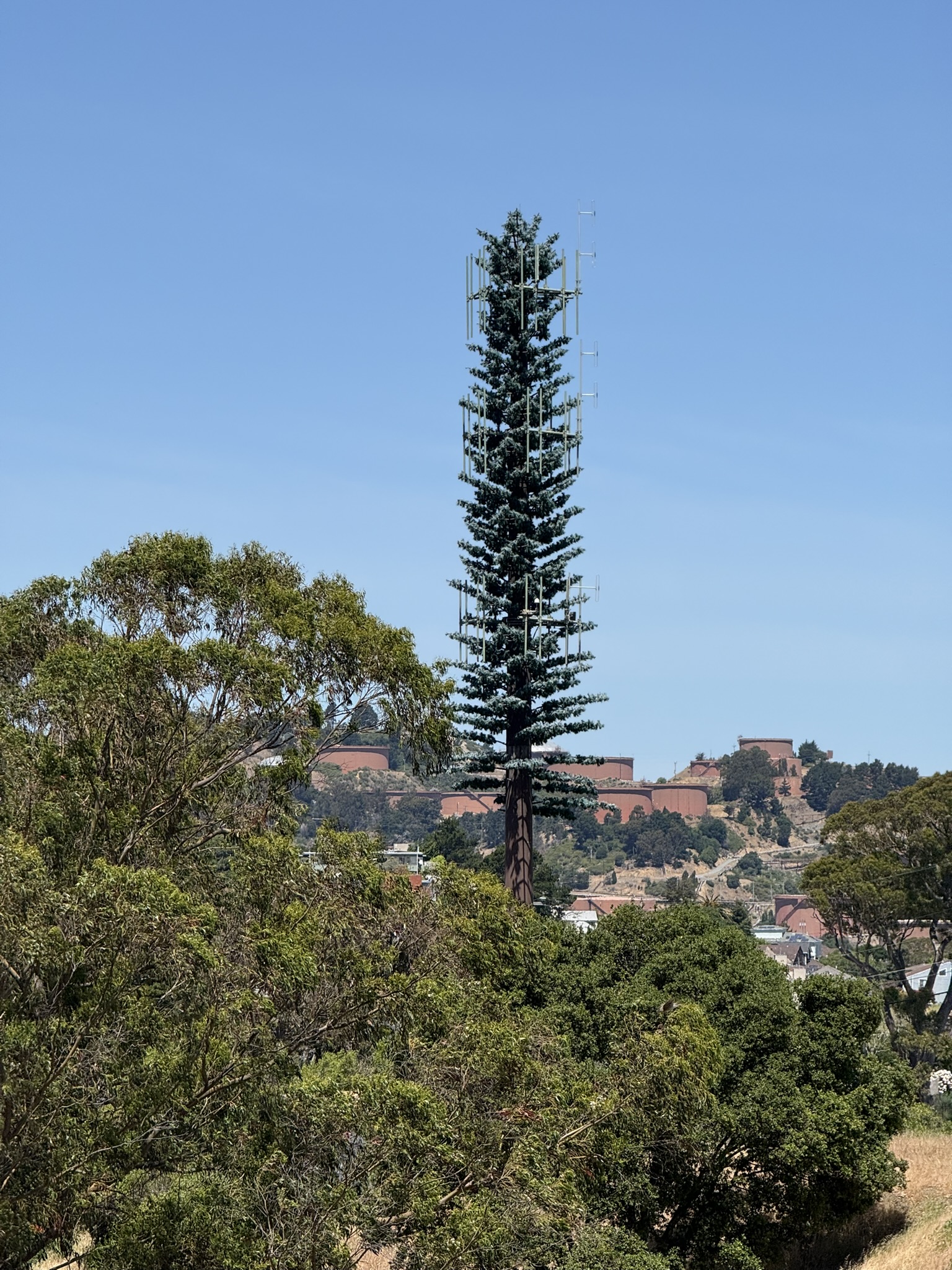 Miller/Knox Regional Shoreline