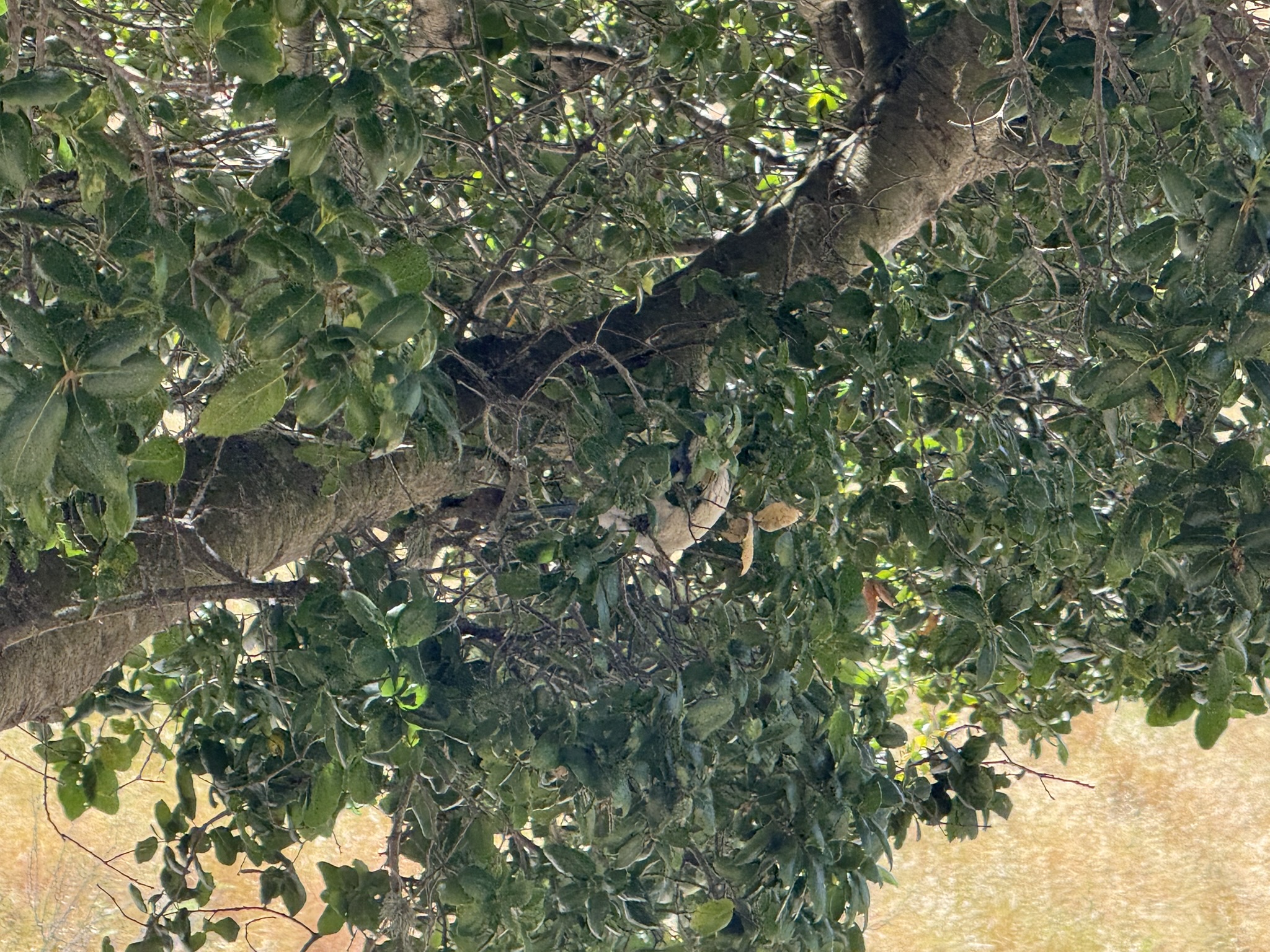 Miller/Knox Regional Shoreline