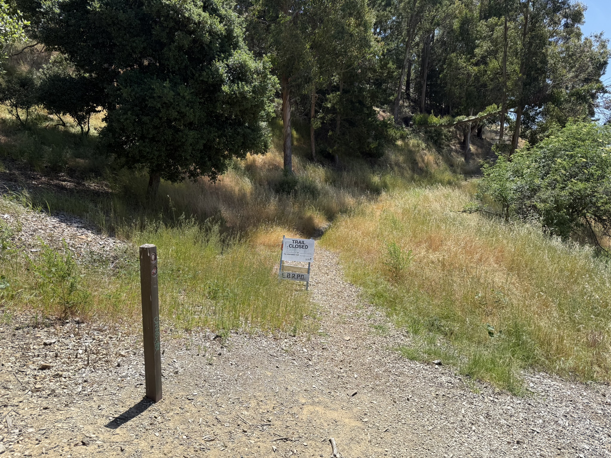 Miller/Knox Regional Shoreline