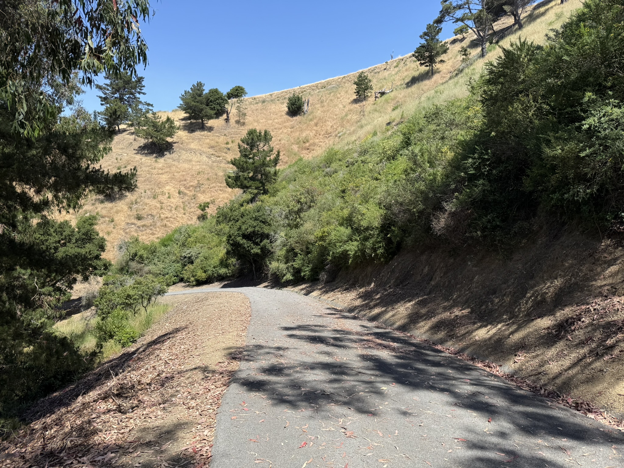 Miller/Knox Regional Shoreline