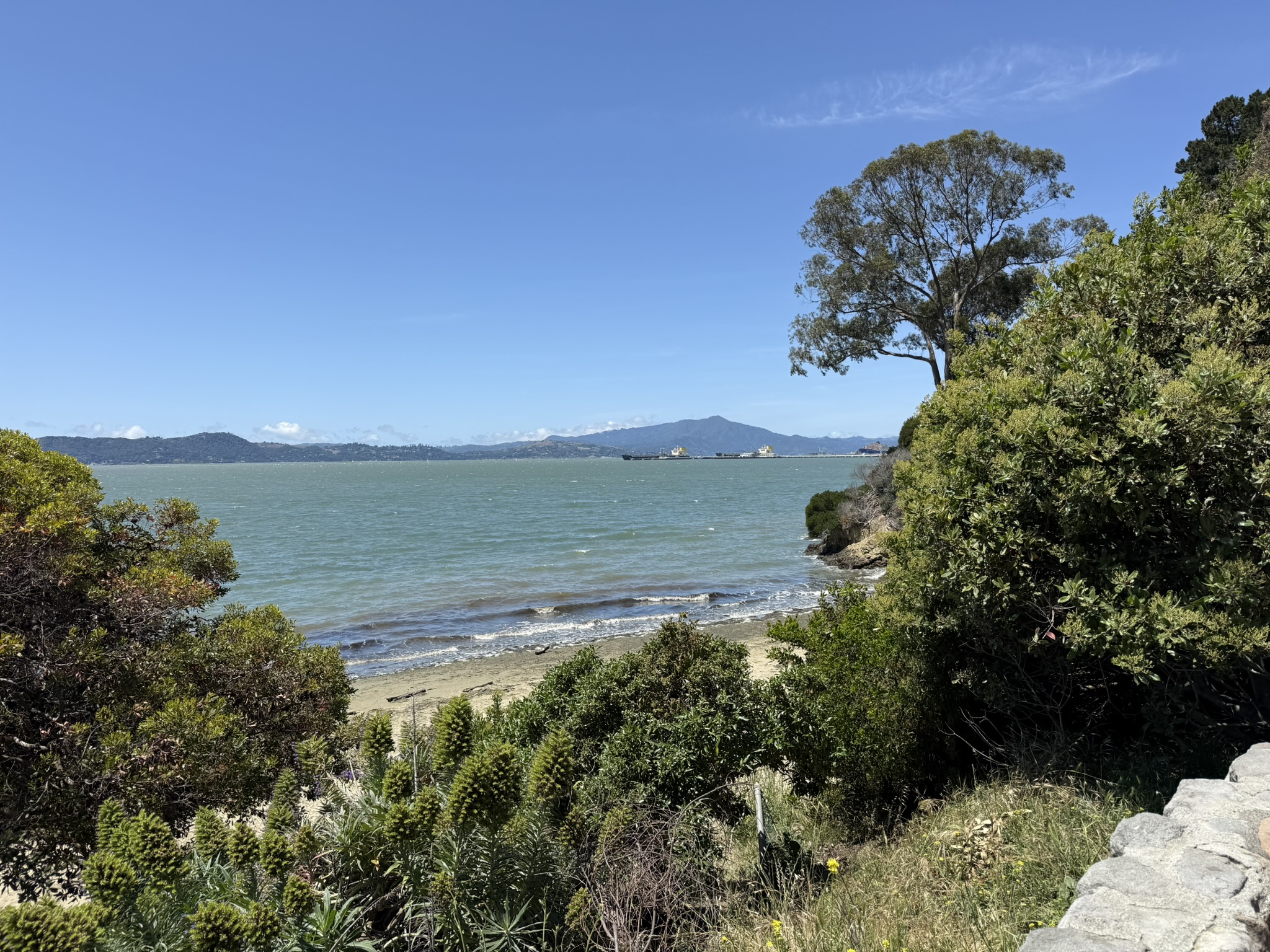 Miller/Knox Regional Shoreline