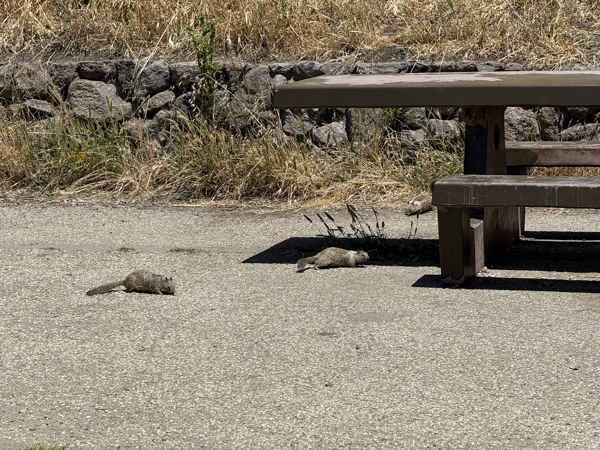 Miller/Knox Regional Shoreline