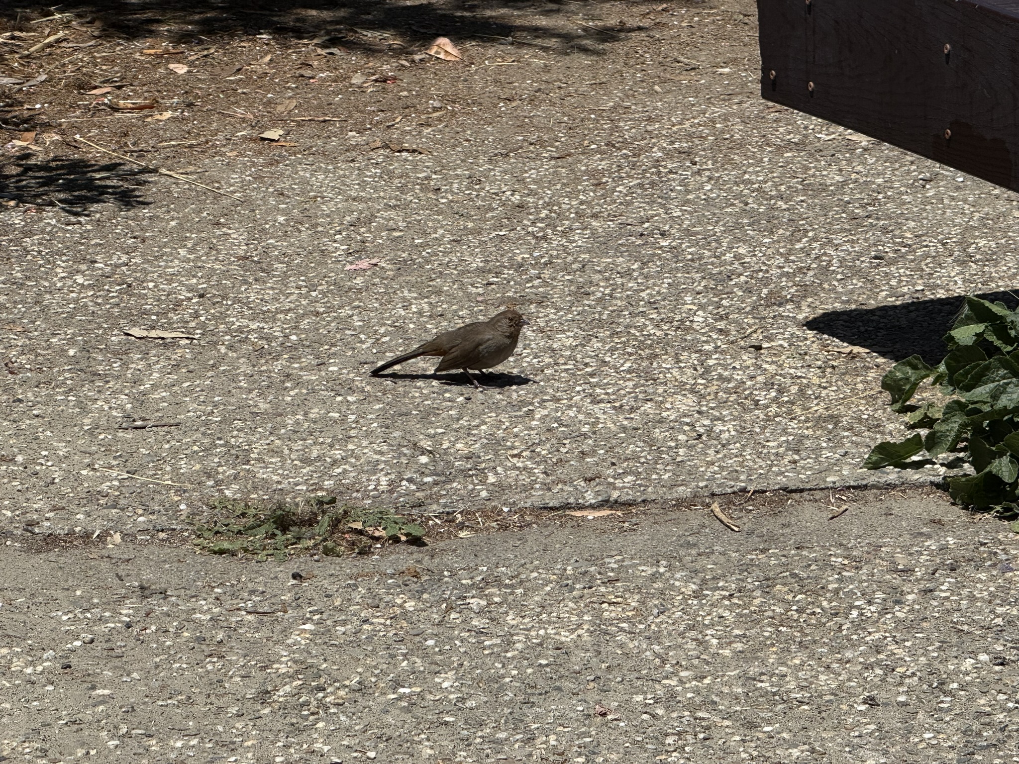Miller/Knox Regional Shoreline