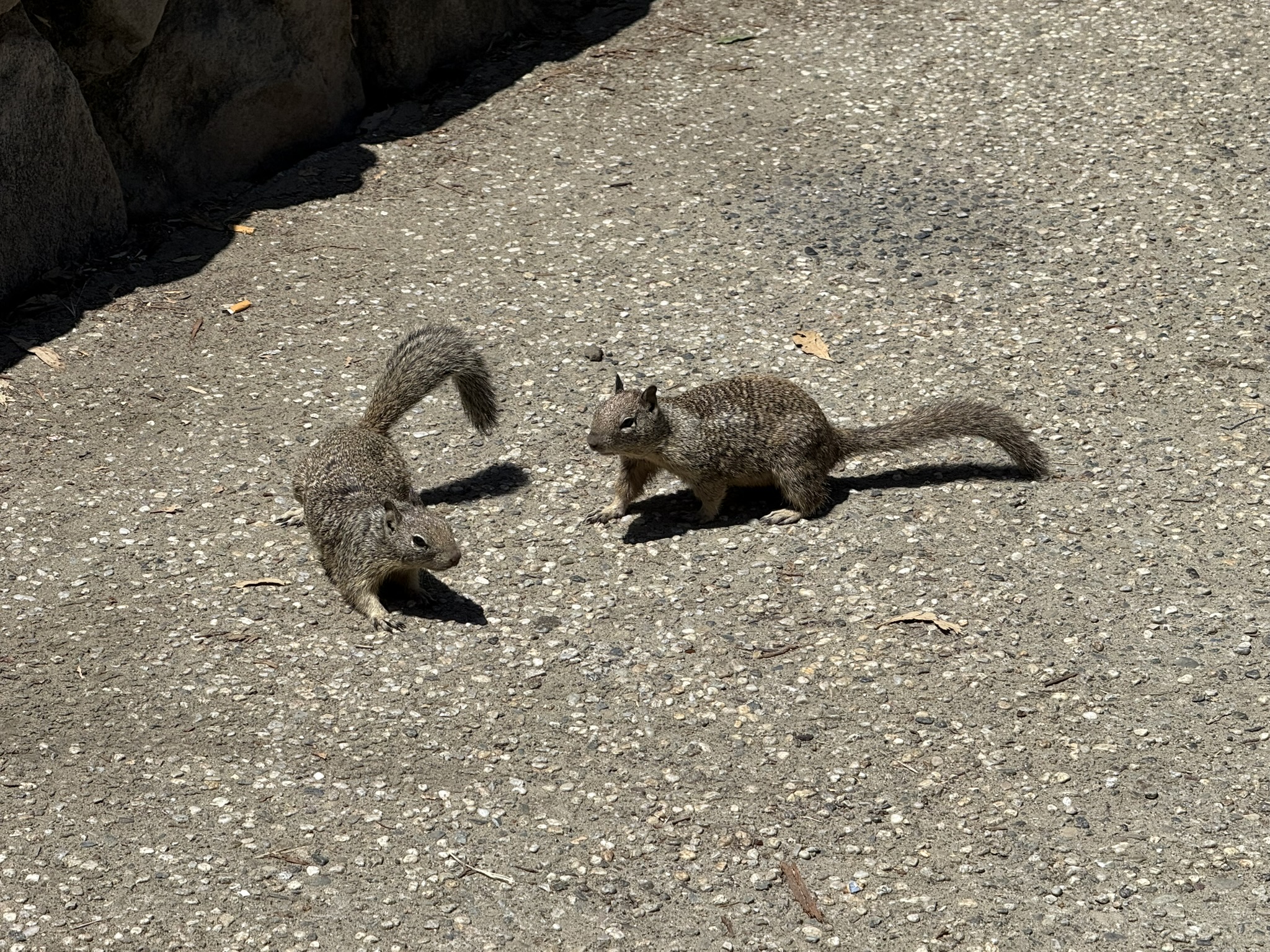 Miller/Knox Regional Shoreline