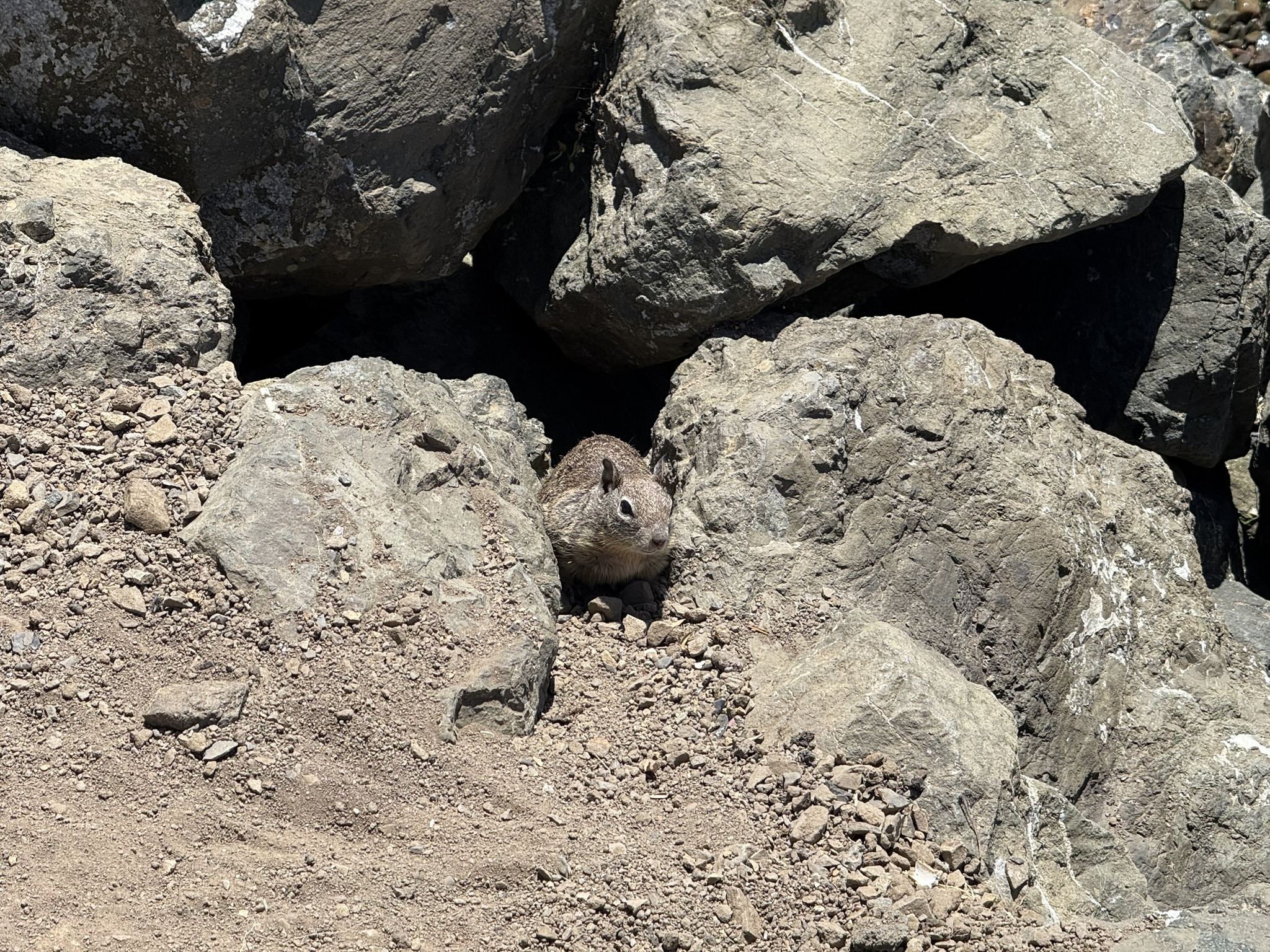 Miller/Knox Regional Shoreline