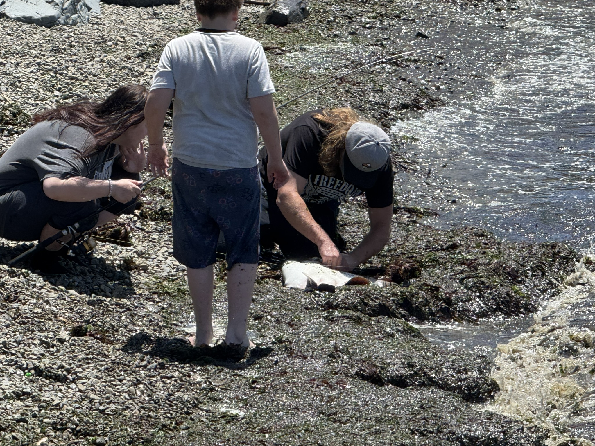 Miller/Knox Regional Shoreline