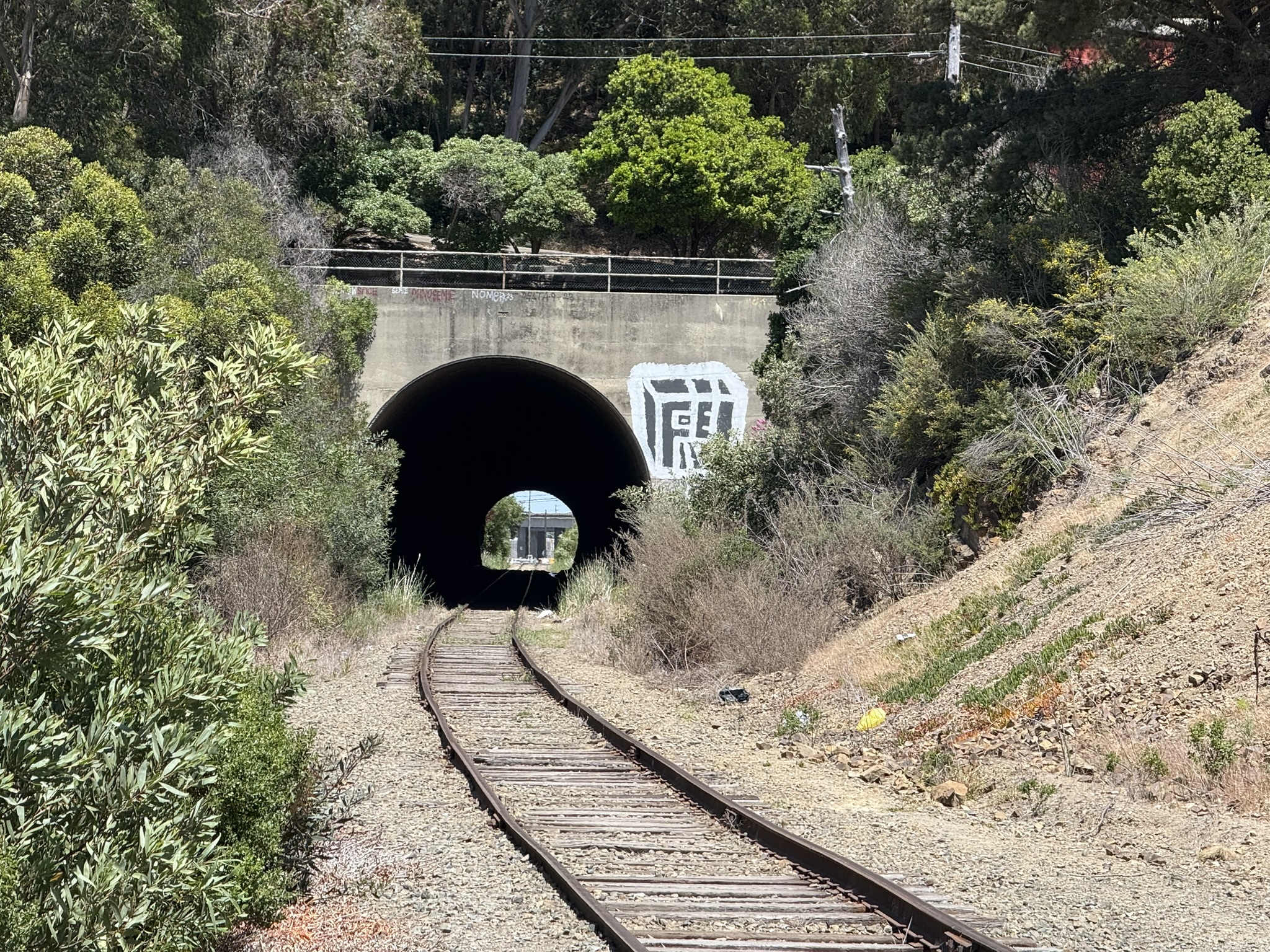 Miller/Knox Regional Shoreline