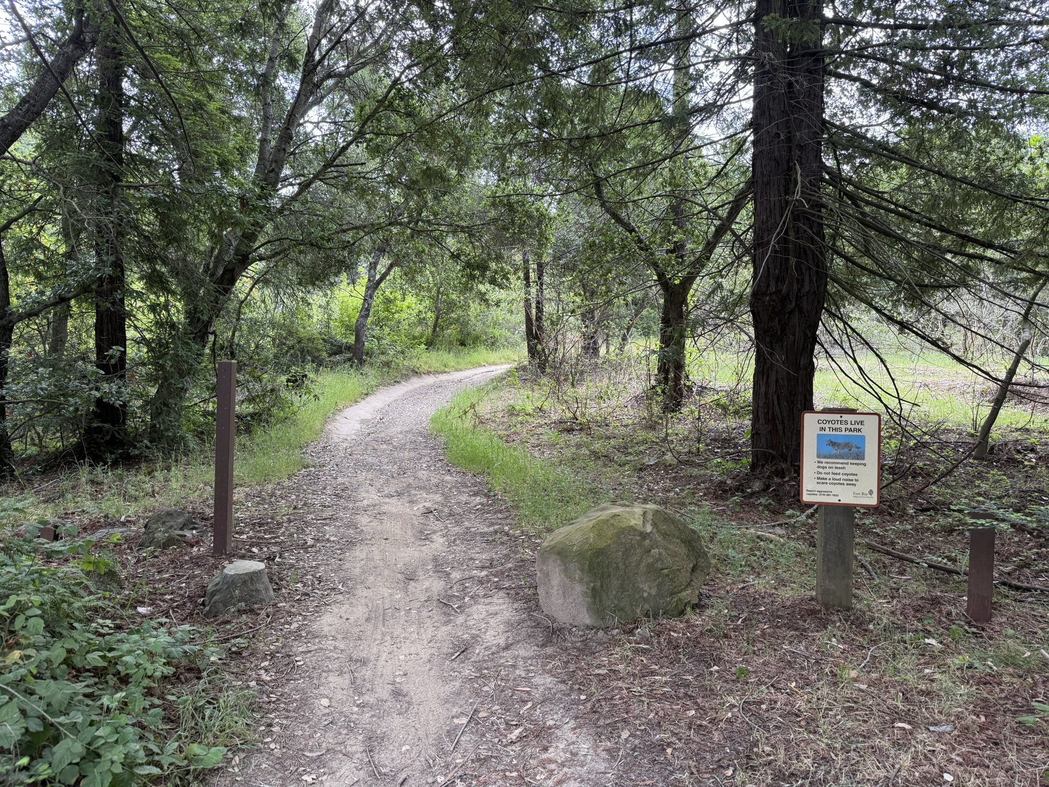 Anthony Chabot Regional Park East
