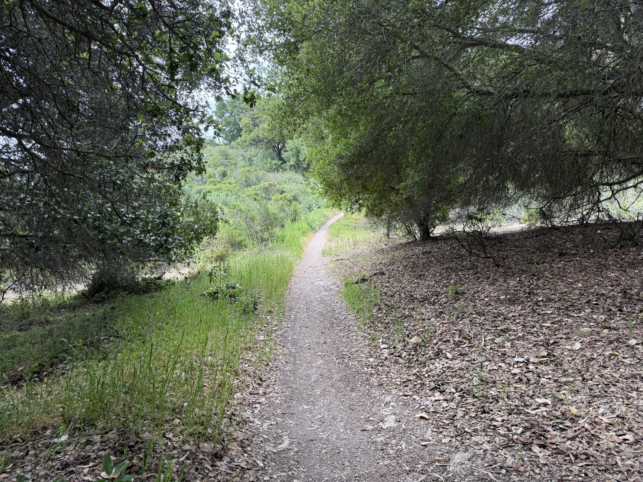 Anthony Chabot Regional Park East