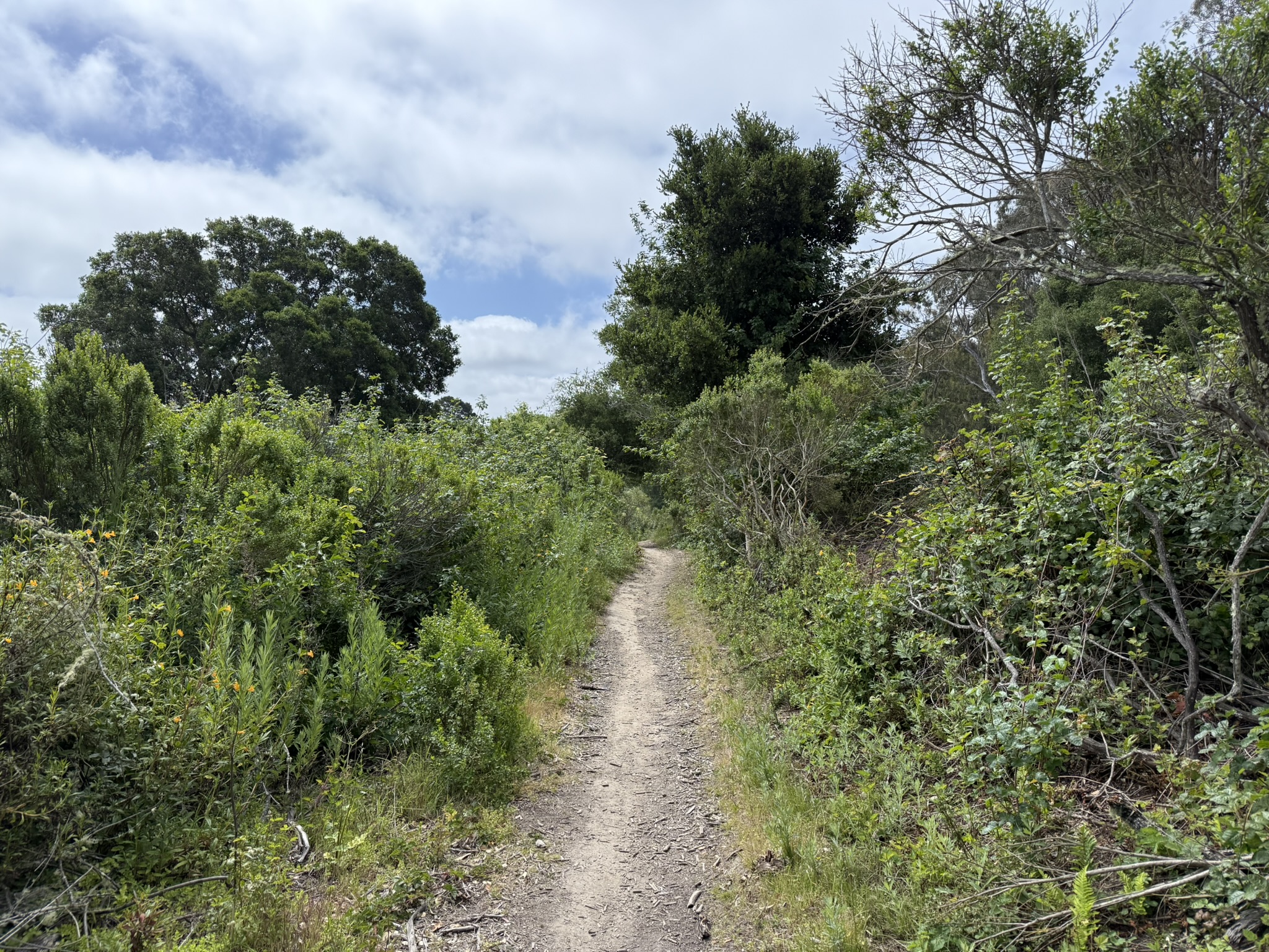 Anthony Chabot Regional Park East
