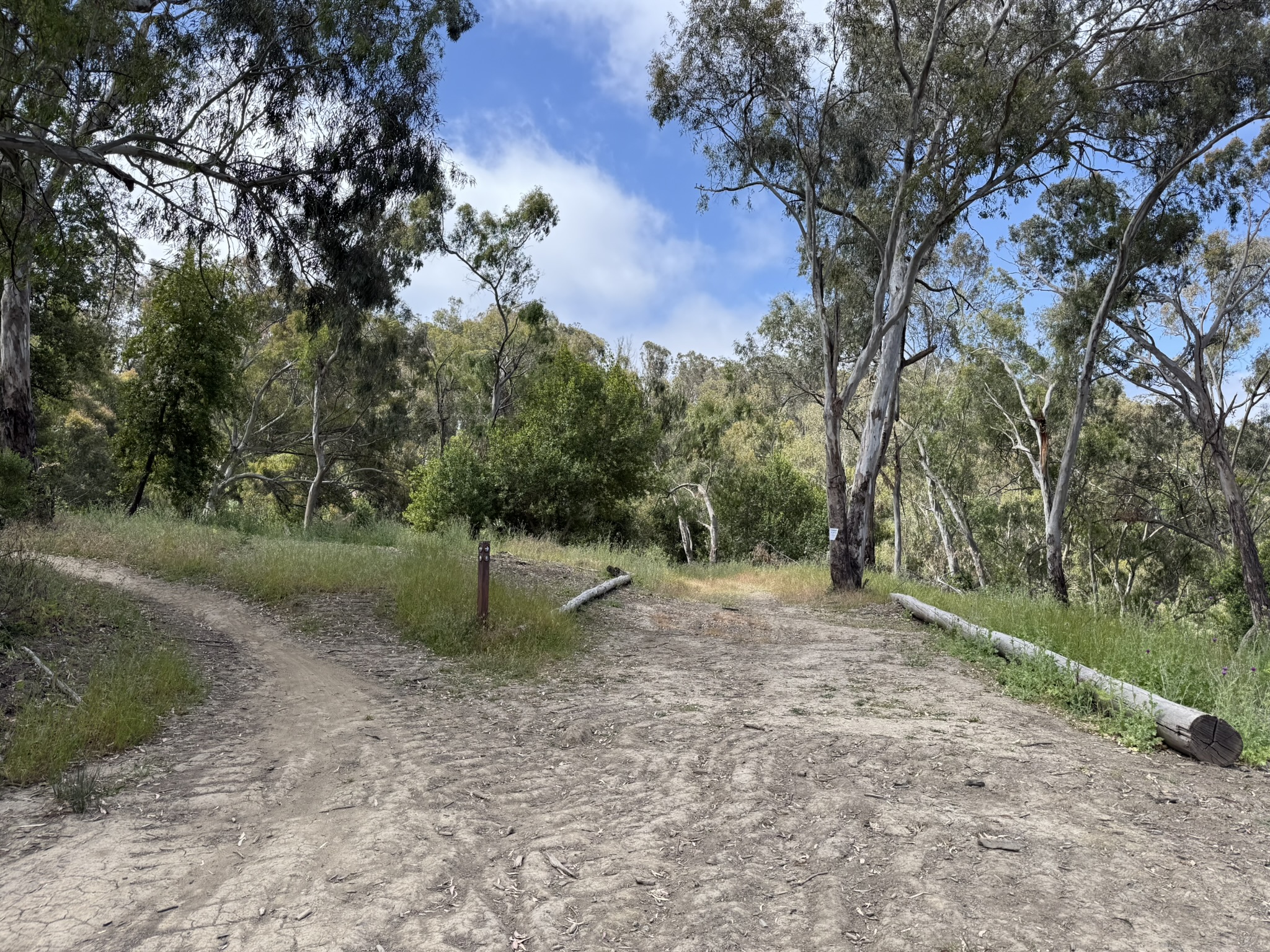 Anthony Chabot Regional Park East