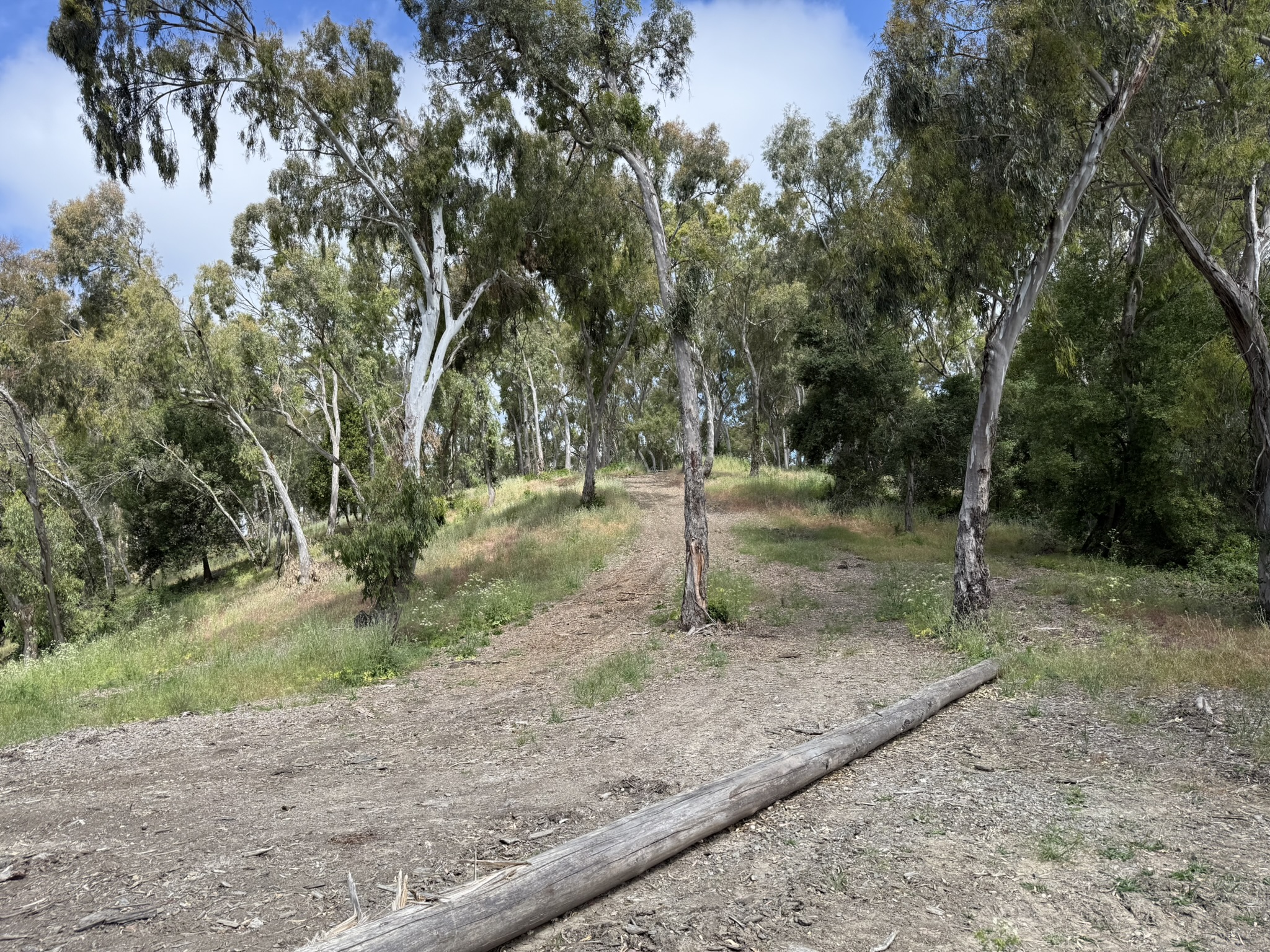 Anthony Chabot Regional Park East