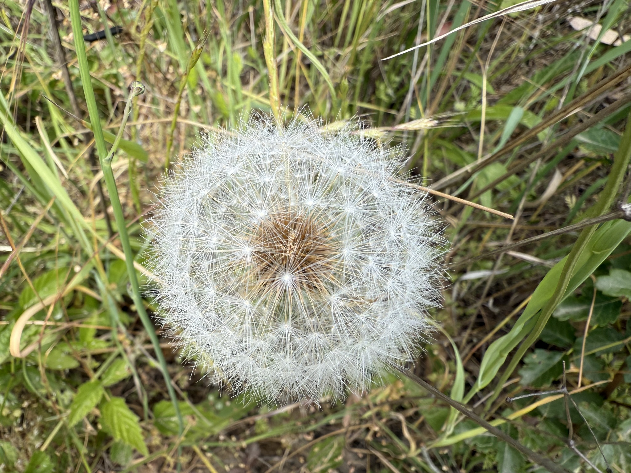 Anthony Chabot Regional Park East