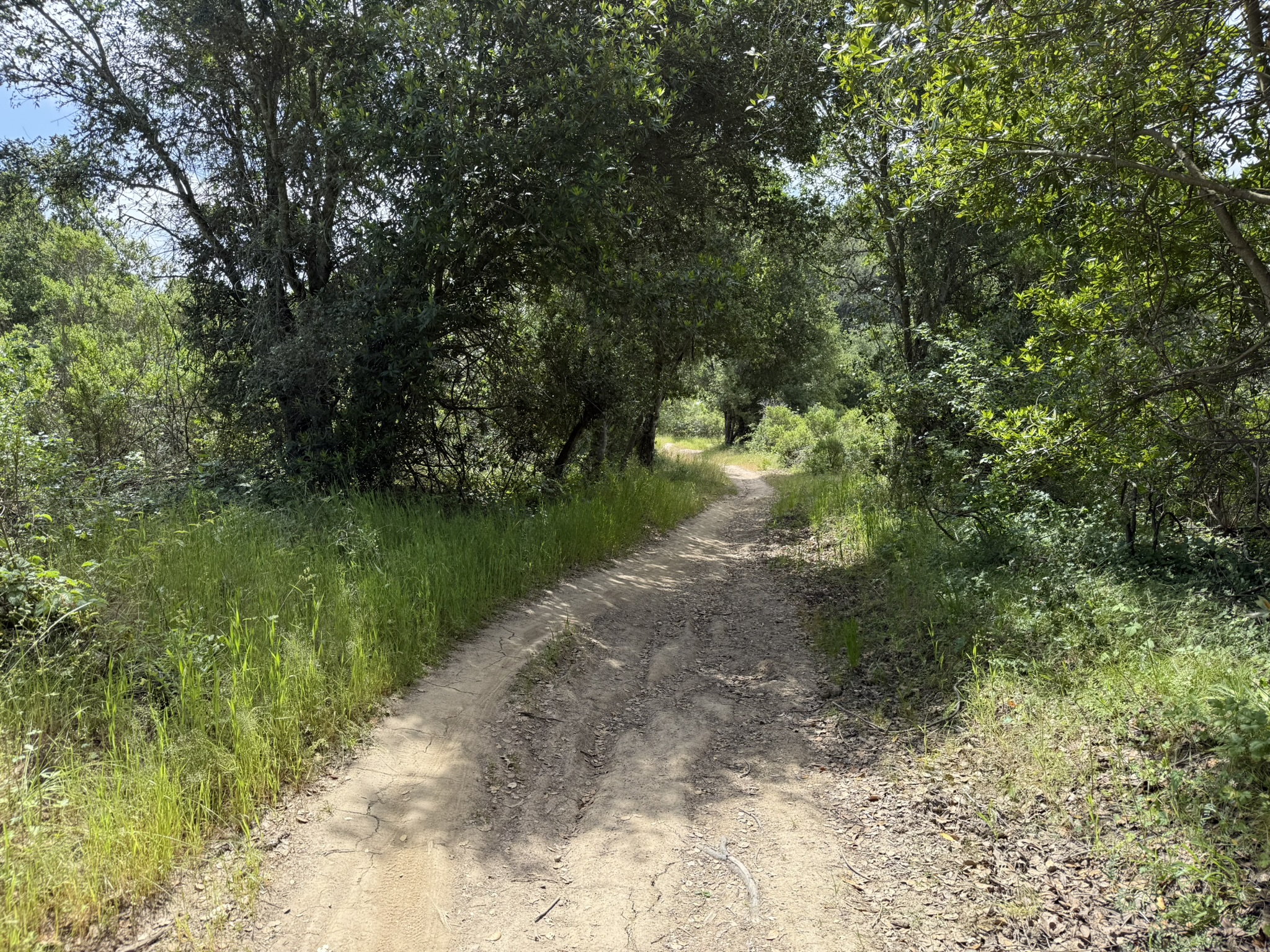 Anthony Chabot Regional Park East