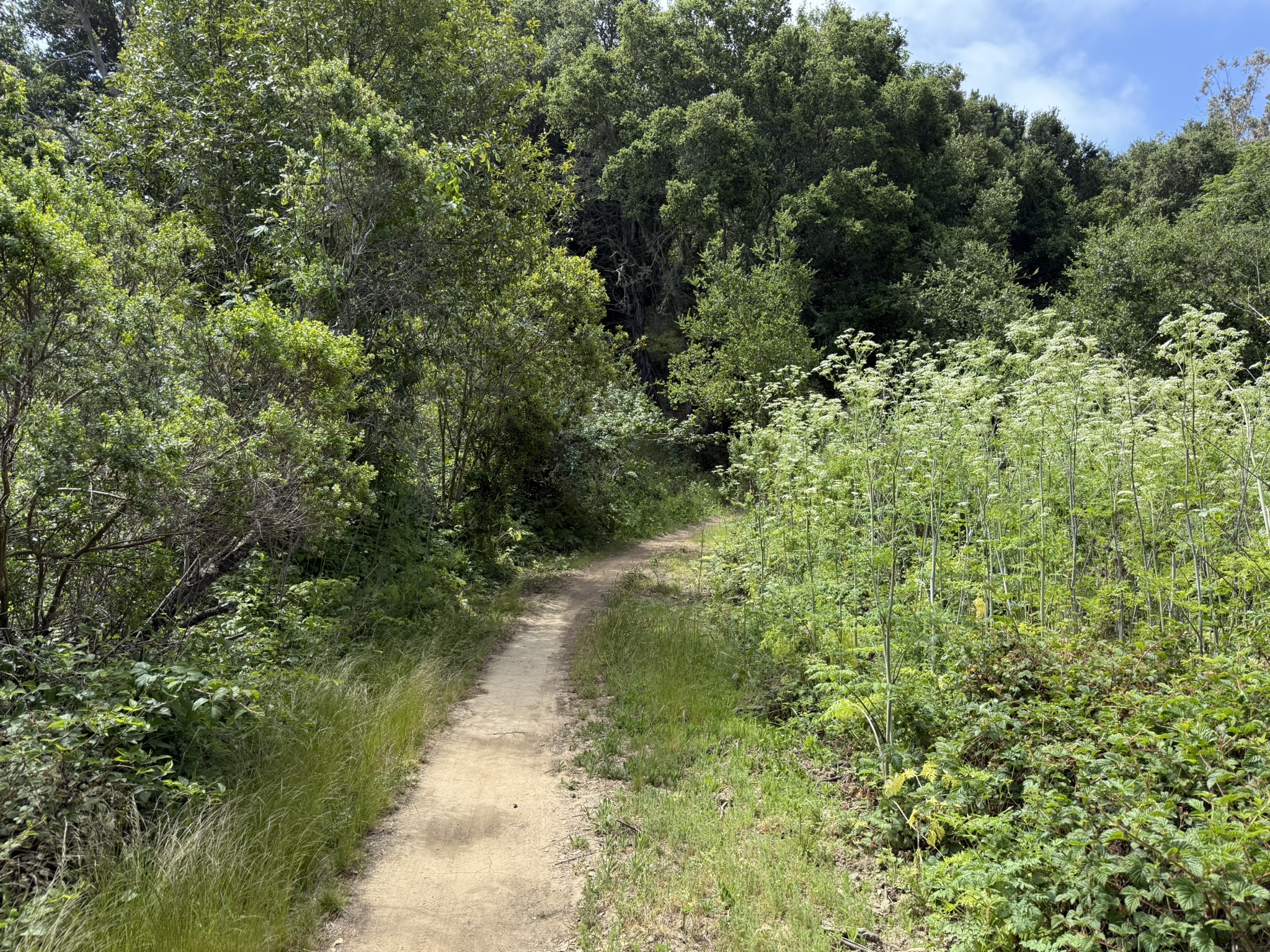 Anthony Chabot Regional Park East