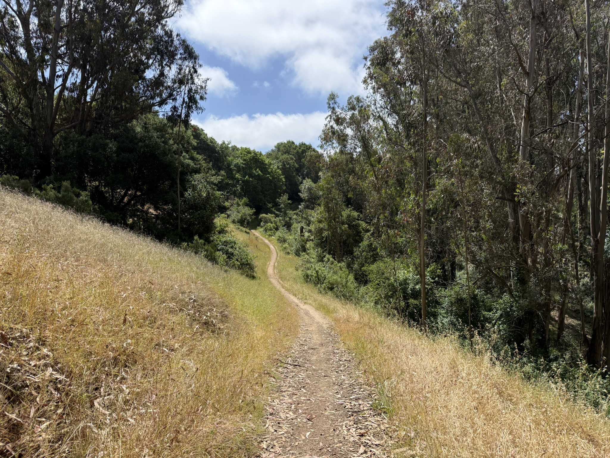 Anthony Chabot Regional Park East