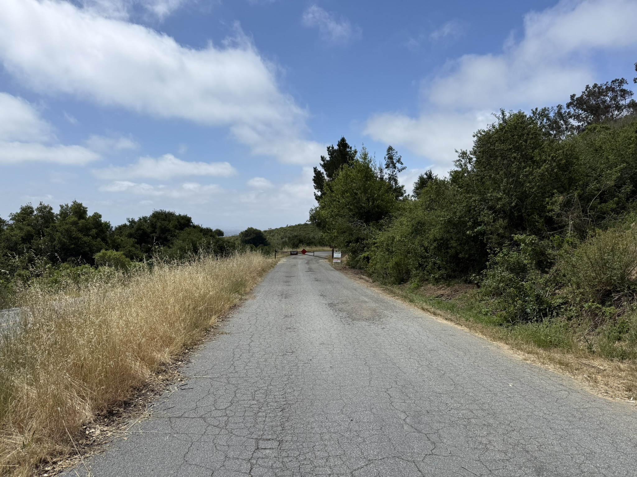 Anthony Chabot Regional Park East